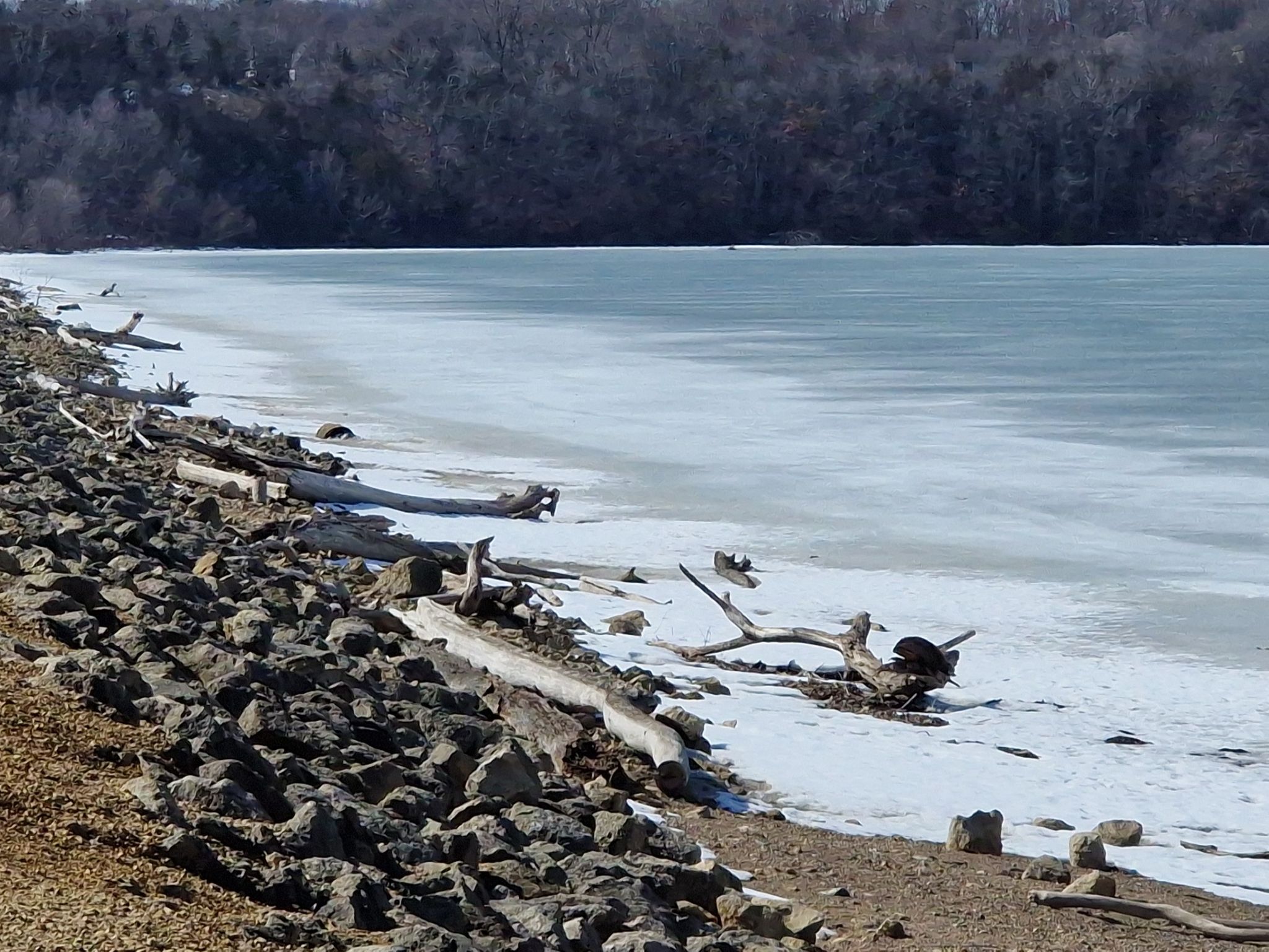 Icy shoreline with driftwood and rocks, dark hills under a winter sky. - Top of a long climb (Hastings) – Lake Rebecca Overlook loop from Hastings SNA