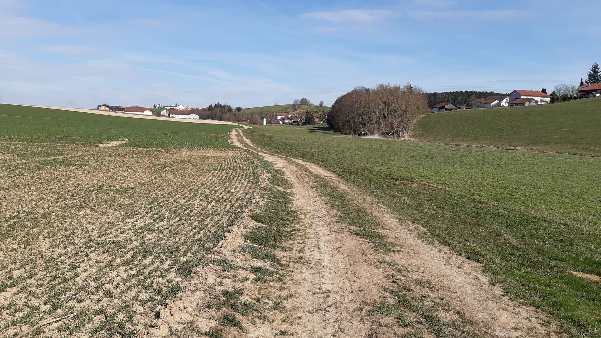 Feldweg nach Kollersaich