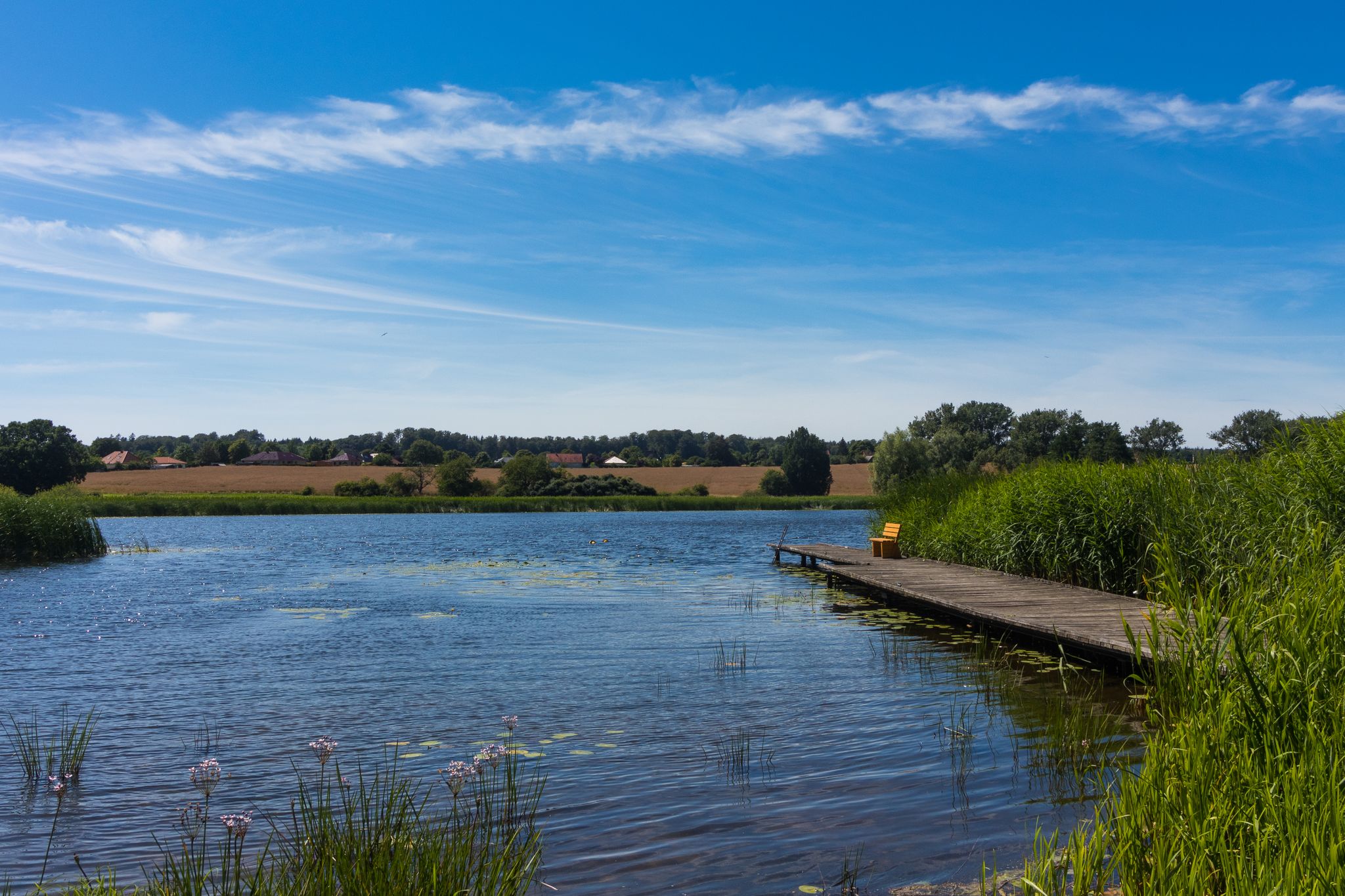 Schöner Schwimmteich