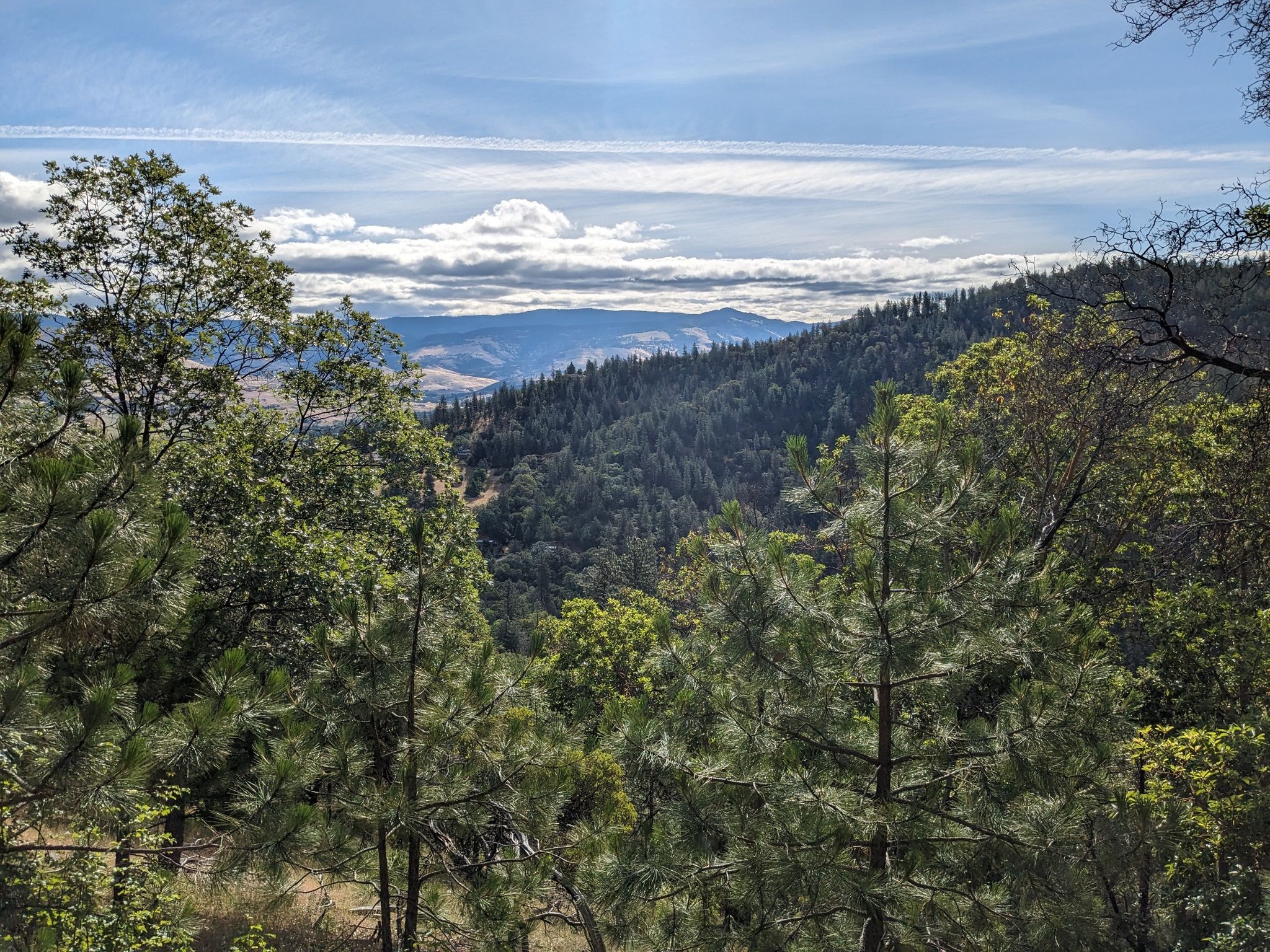Panoramic view of a vast forested mountain landscape under a partly cloudy sky. - Lower Wonder, Fell on Knee, and Forest Service Road 300 Loop