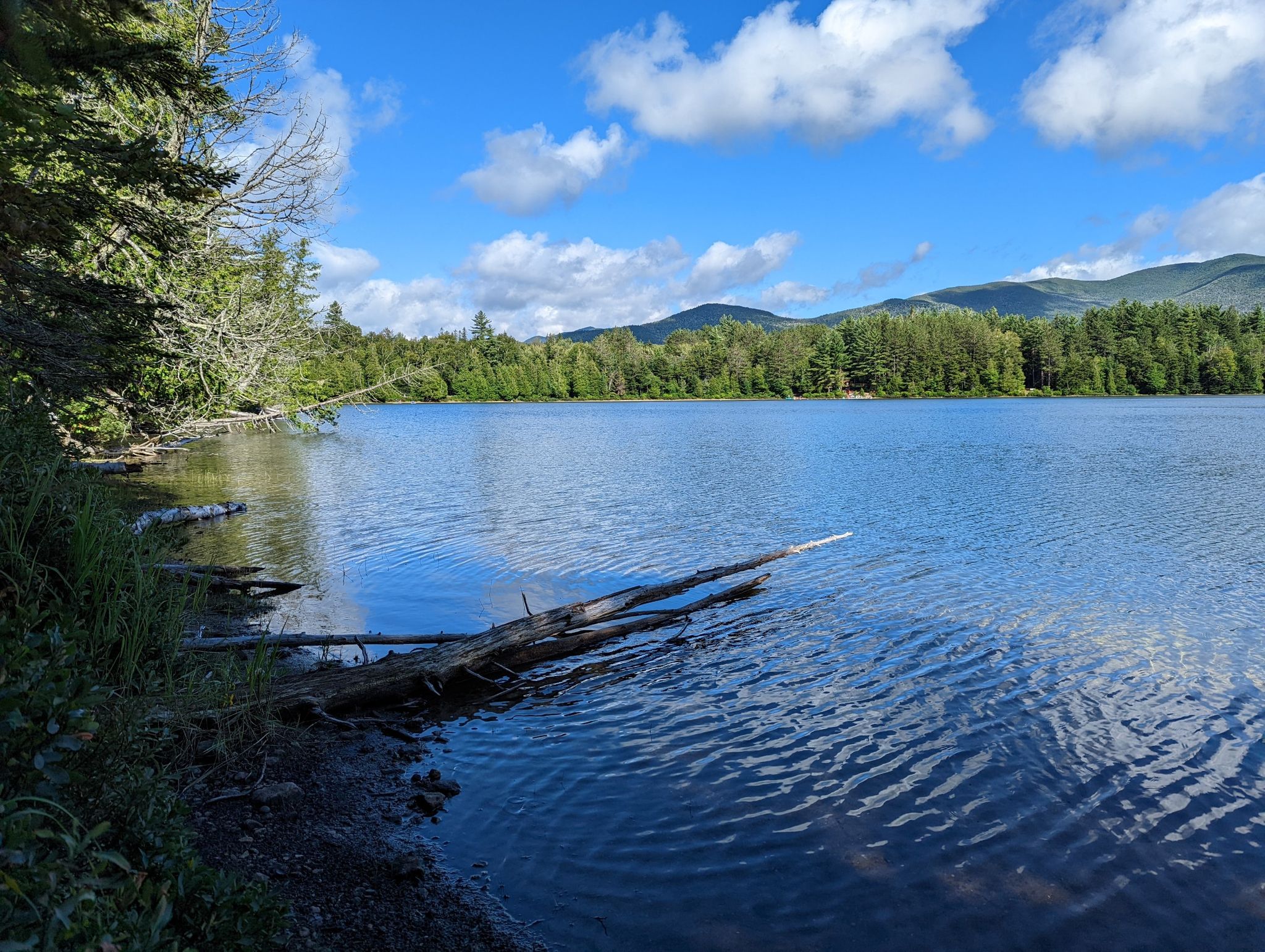 Sunny lake with clear blue water, green trees, and bright blue sky. - Heart Lake and Rocky Falls via Indian Pass Trail