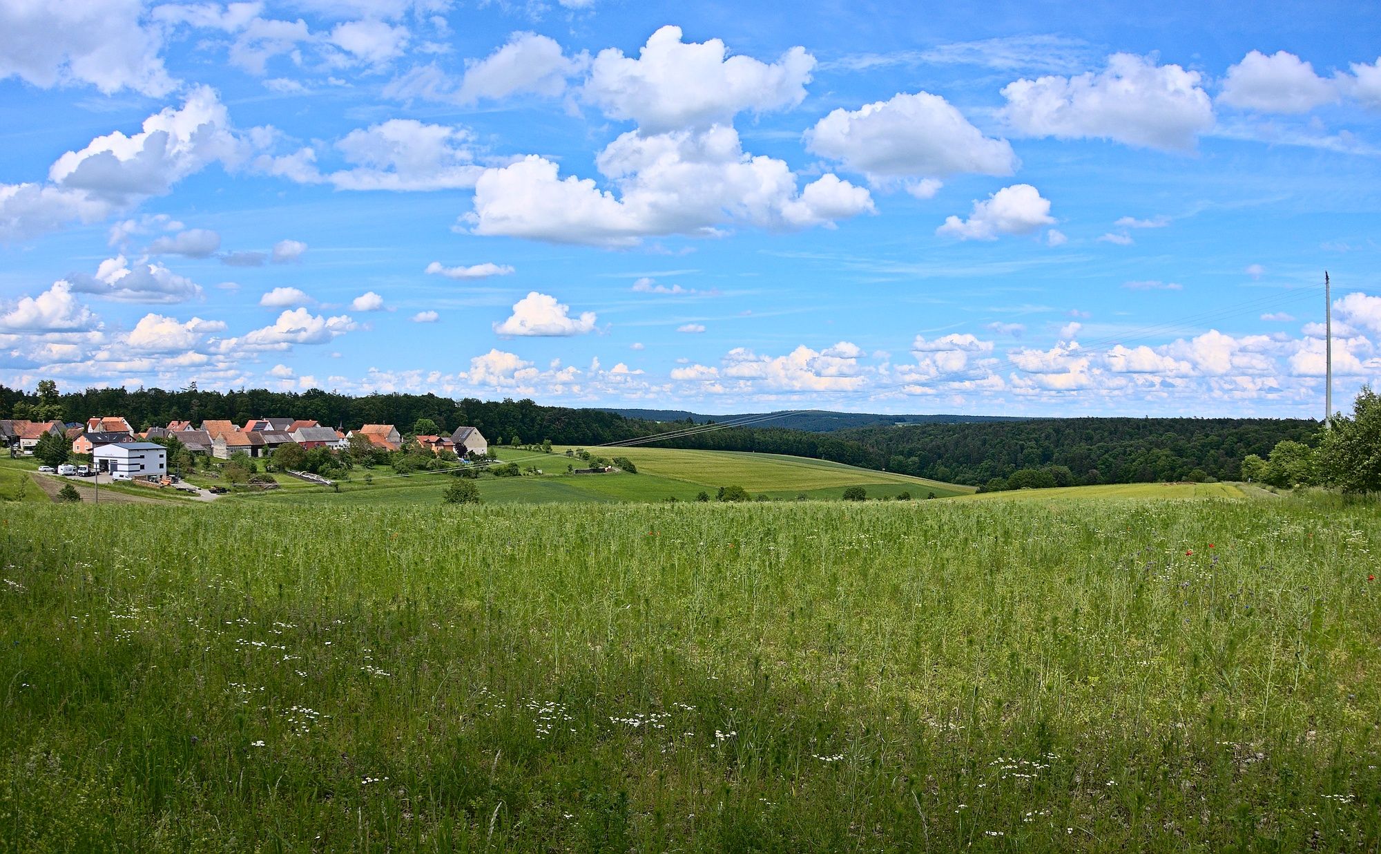 Steigerwaldkuppenblick