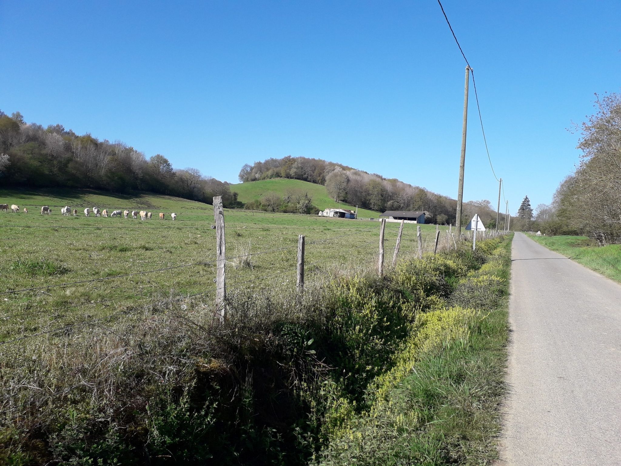 très vallonné 