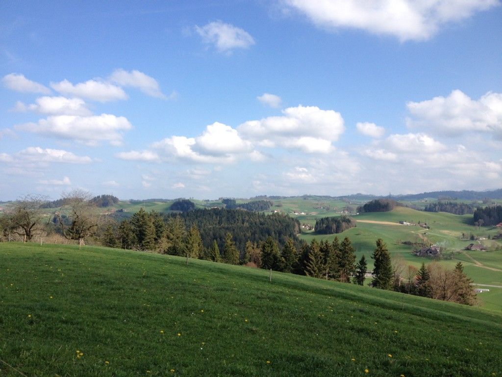 Wegpunkt