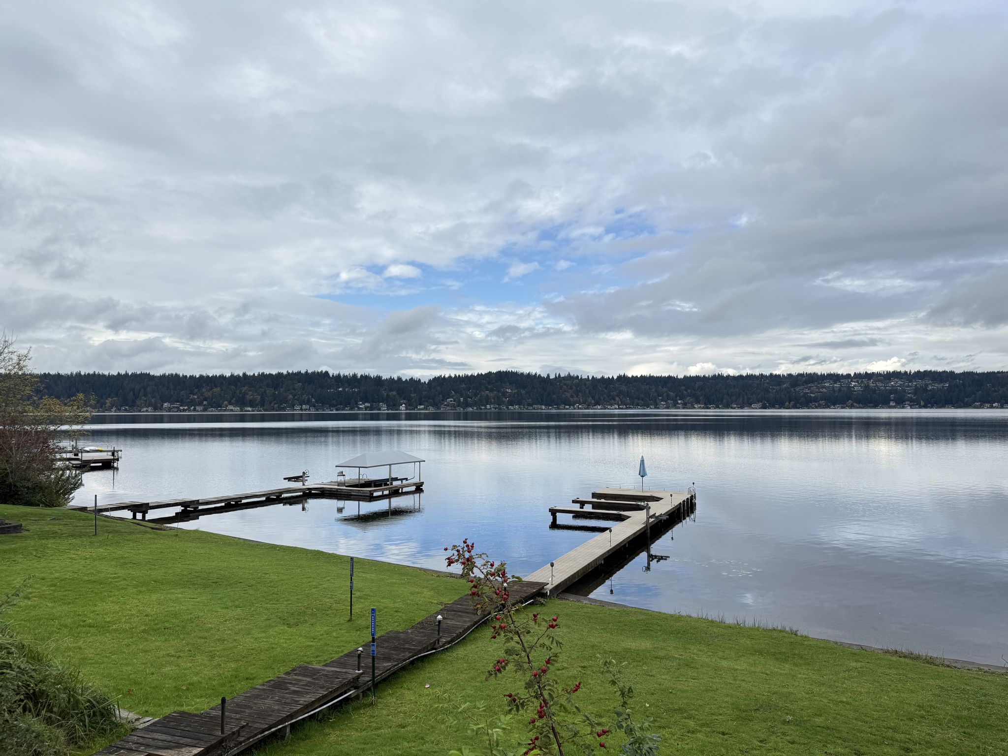 Overcast sky above a calm lake with multiple wooden docks and forested distant shore. - Lake Sammamish Loop Trail