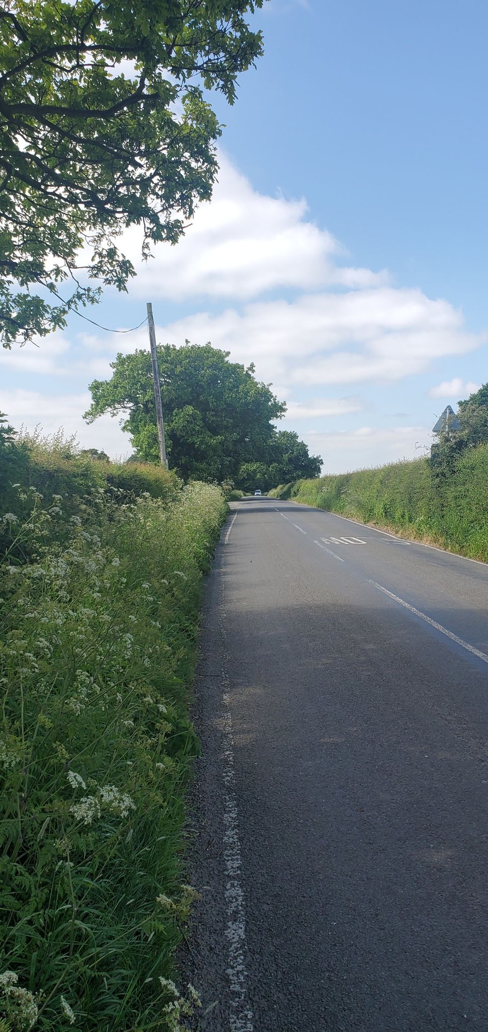 lovely rural lane - Marthall