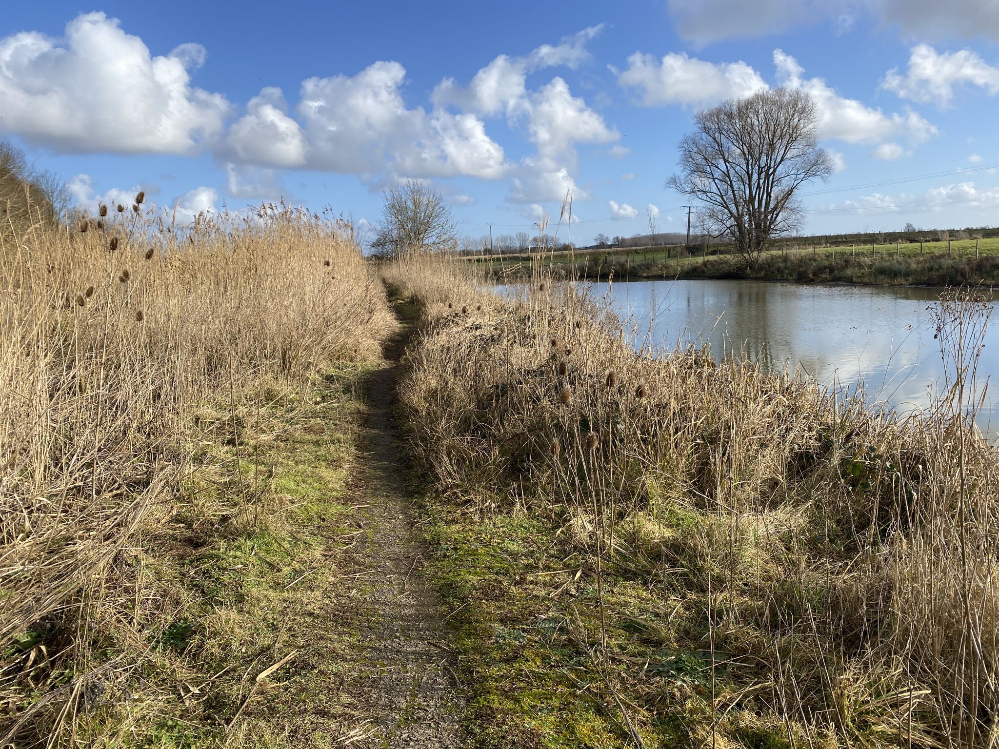 Single au bord de la lys !