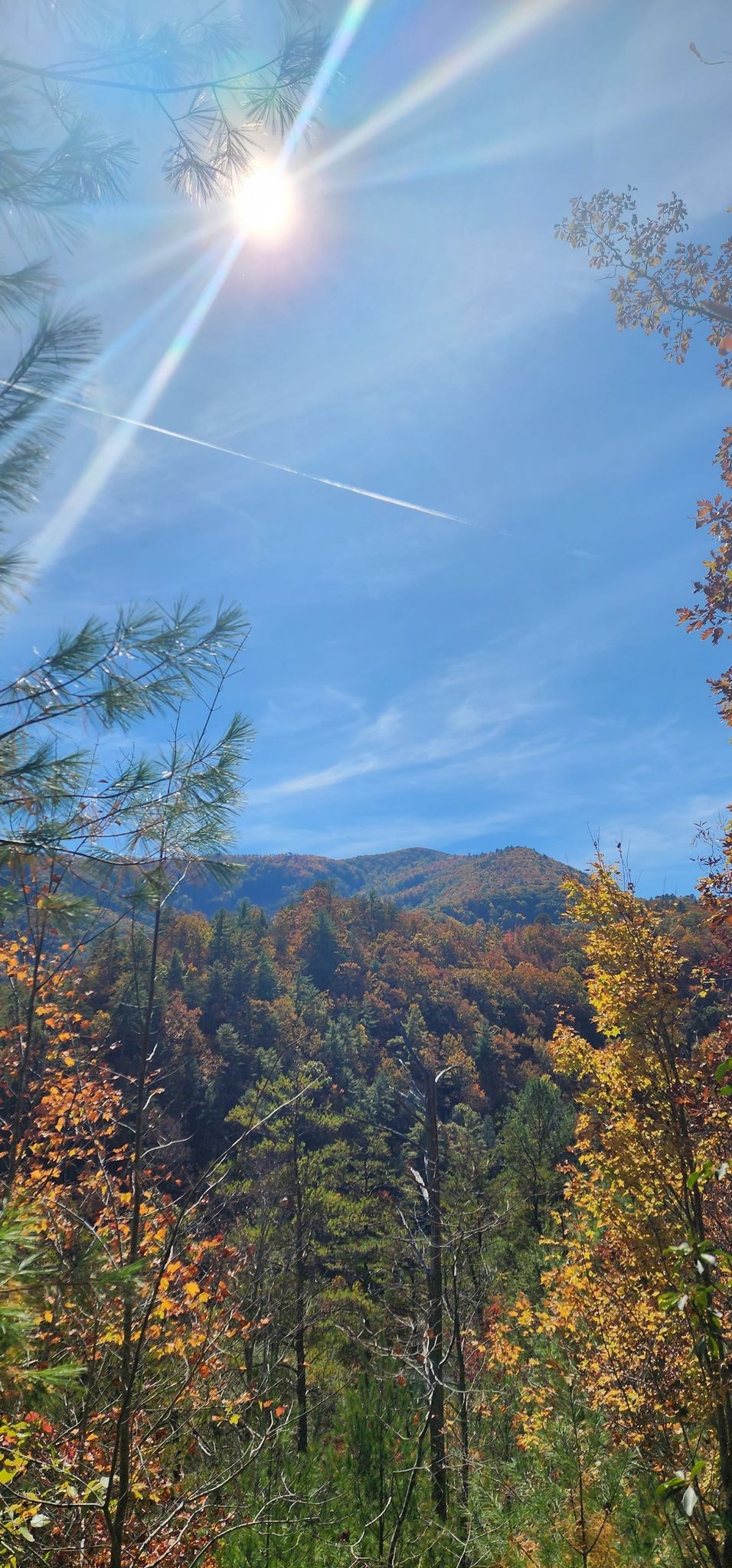 Bright sun shines over autumn mountains and a vast blue sky. - Buckeye Trail