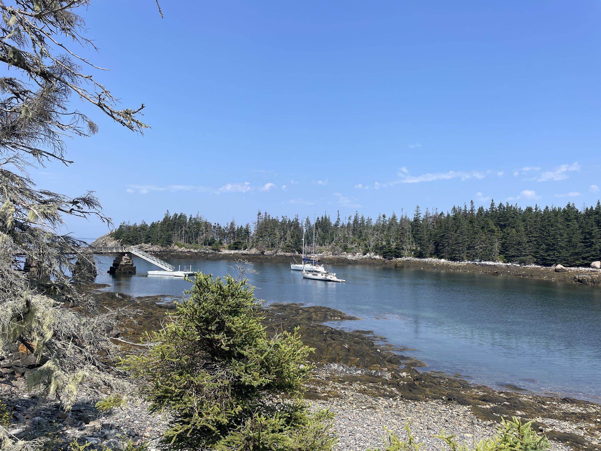 Boats moored in a calm bay with a dock and dense green forest. - Main Road loop