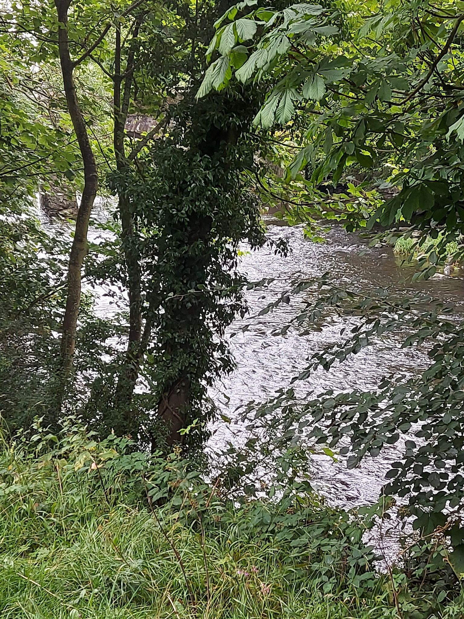 river in gardens 