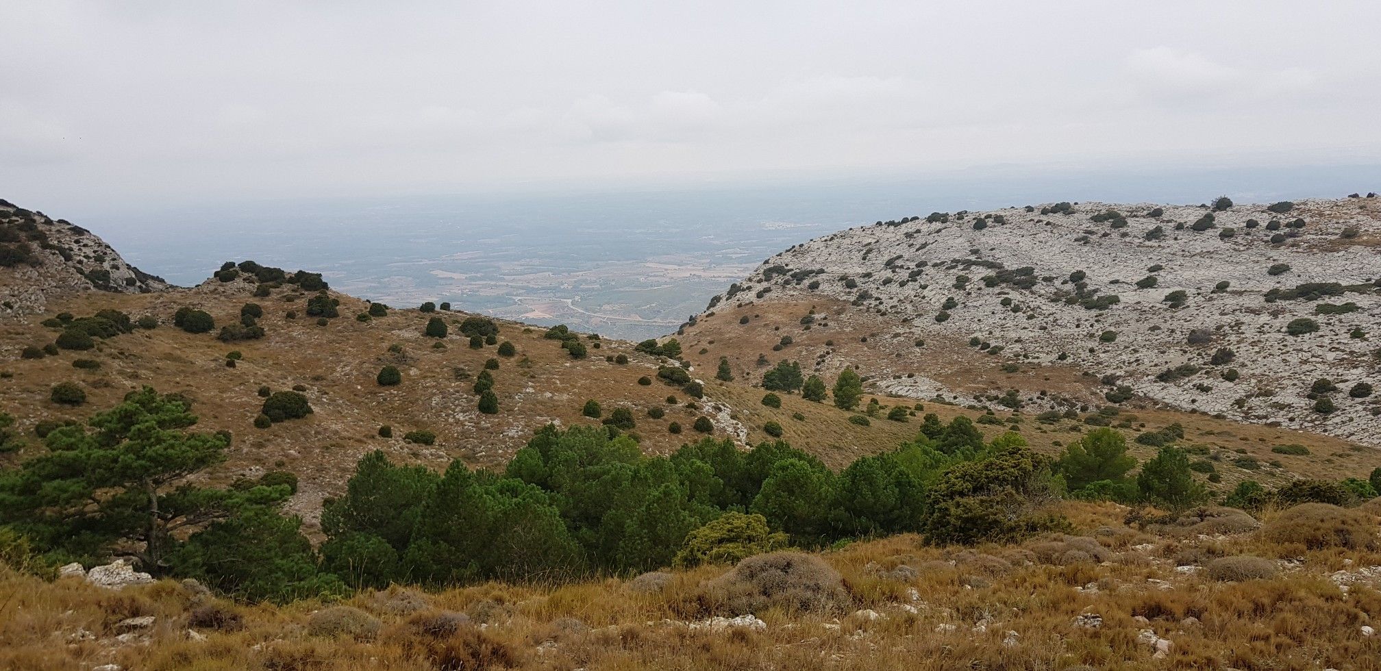 Cloudy view 1