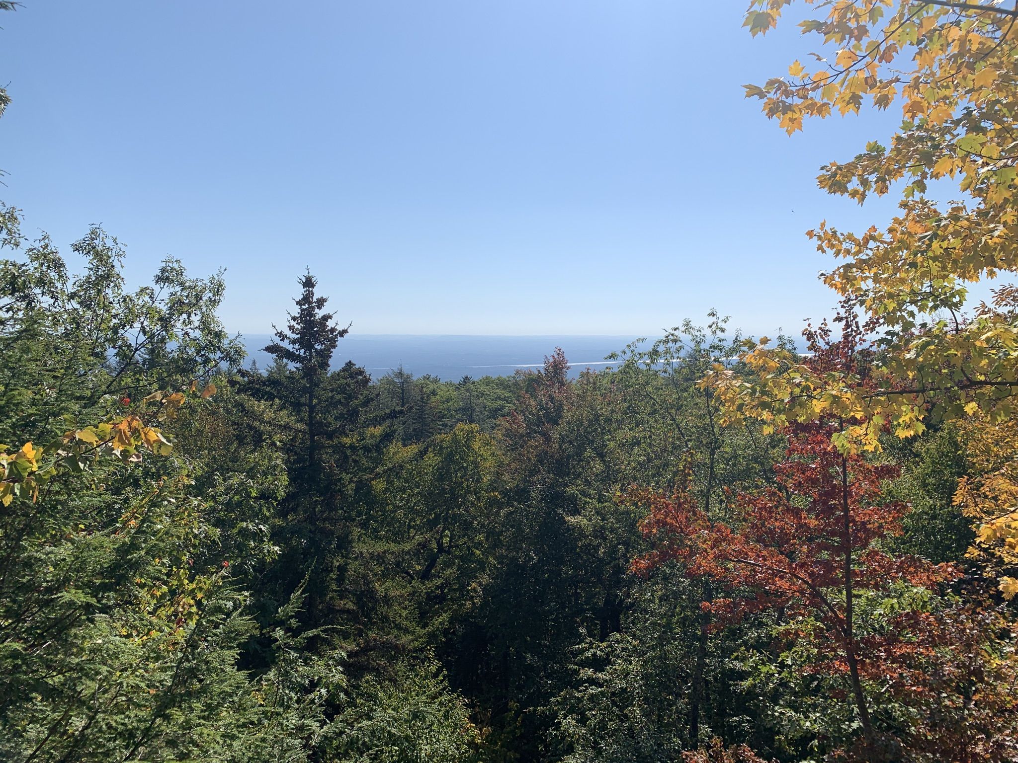 Forest canopy with autumn colors framing a distant body of water. - Artists Rock and Sunset Rock via Escarpment Trail