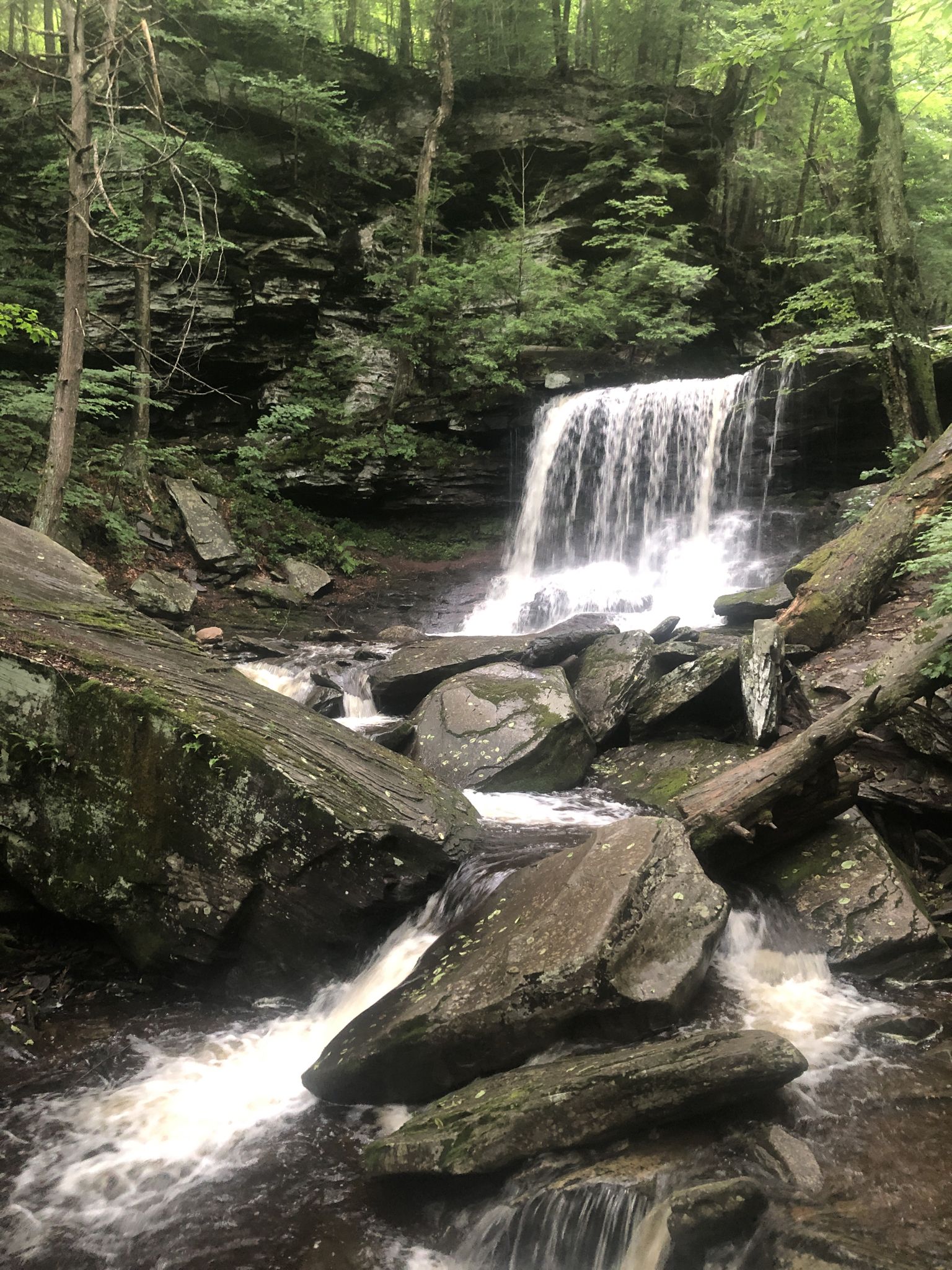 Waterfall plunging into a rocky stream, surrounded by dense green forest. - B. Reynolds Falls – Beautiful break place loop from Ricketts Glen State Park