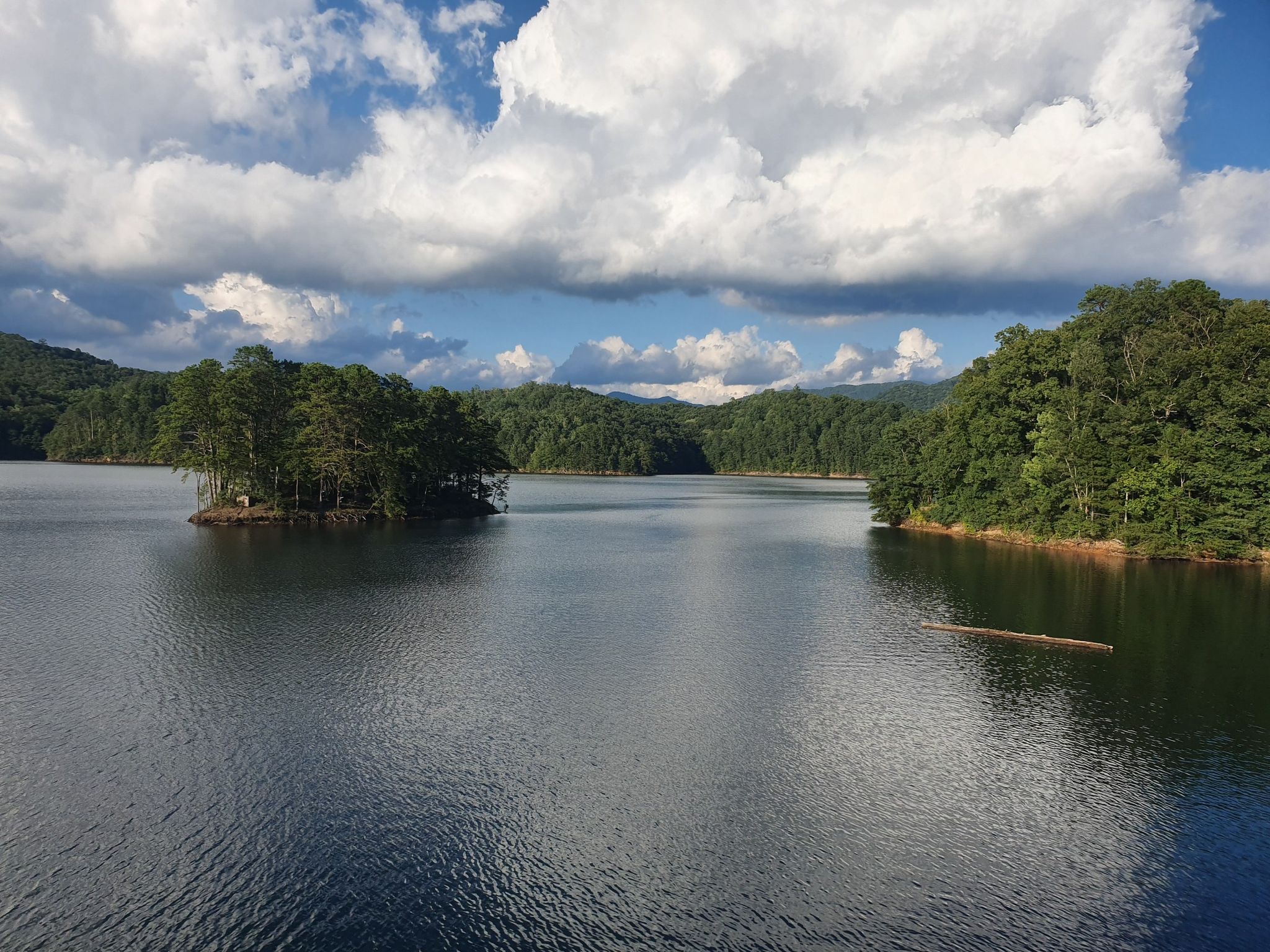 A lake with a small island and a floating log, under a bright partly cloudy sky. - Benton MacKaye Trail