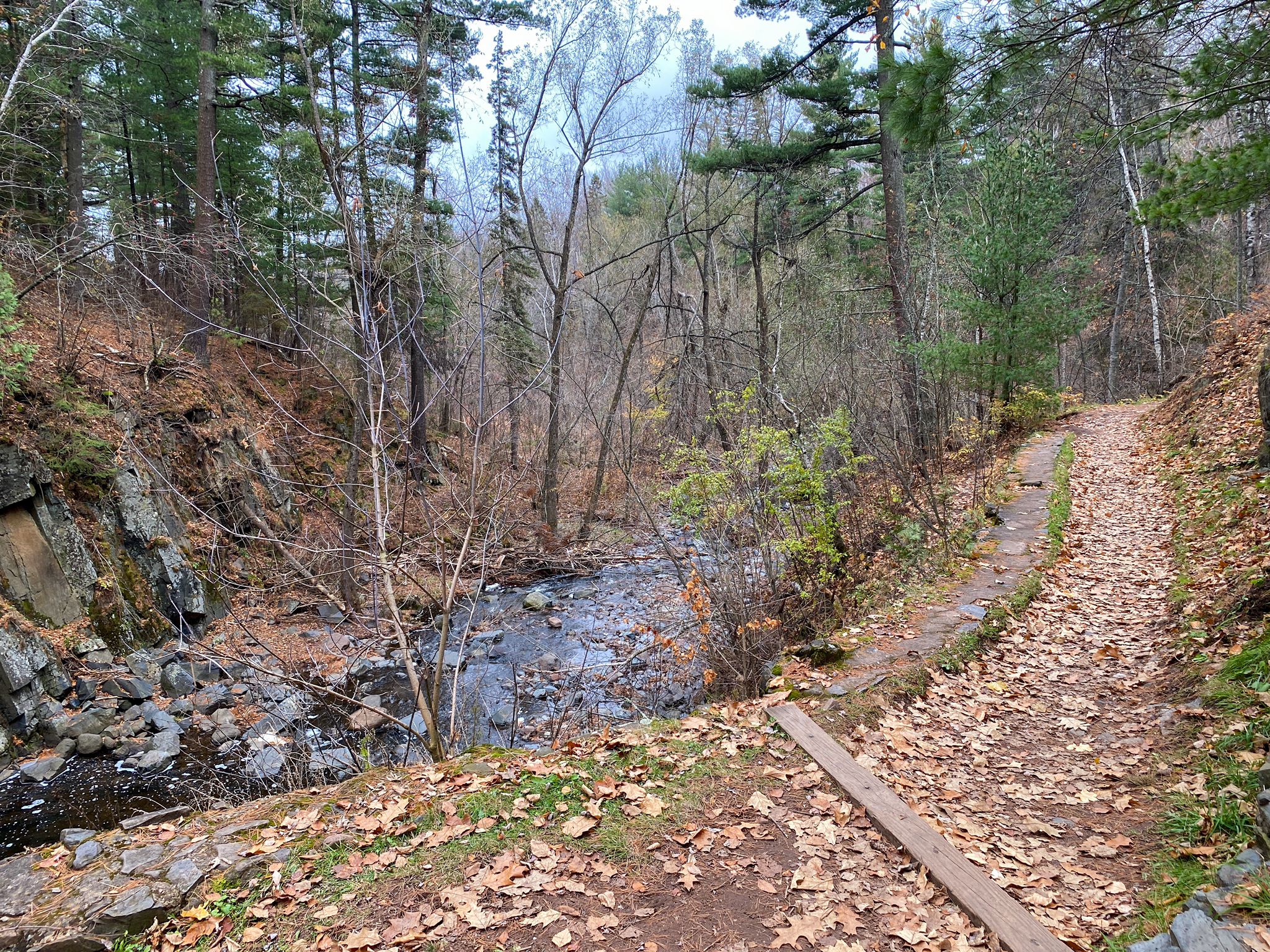 Leaf-covered trail next to a rocky stream in a bare forest. - Chester Park Trail Overlook loop from University of Minnesota Duluth