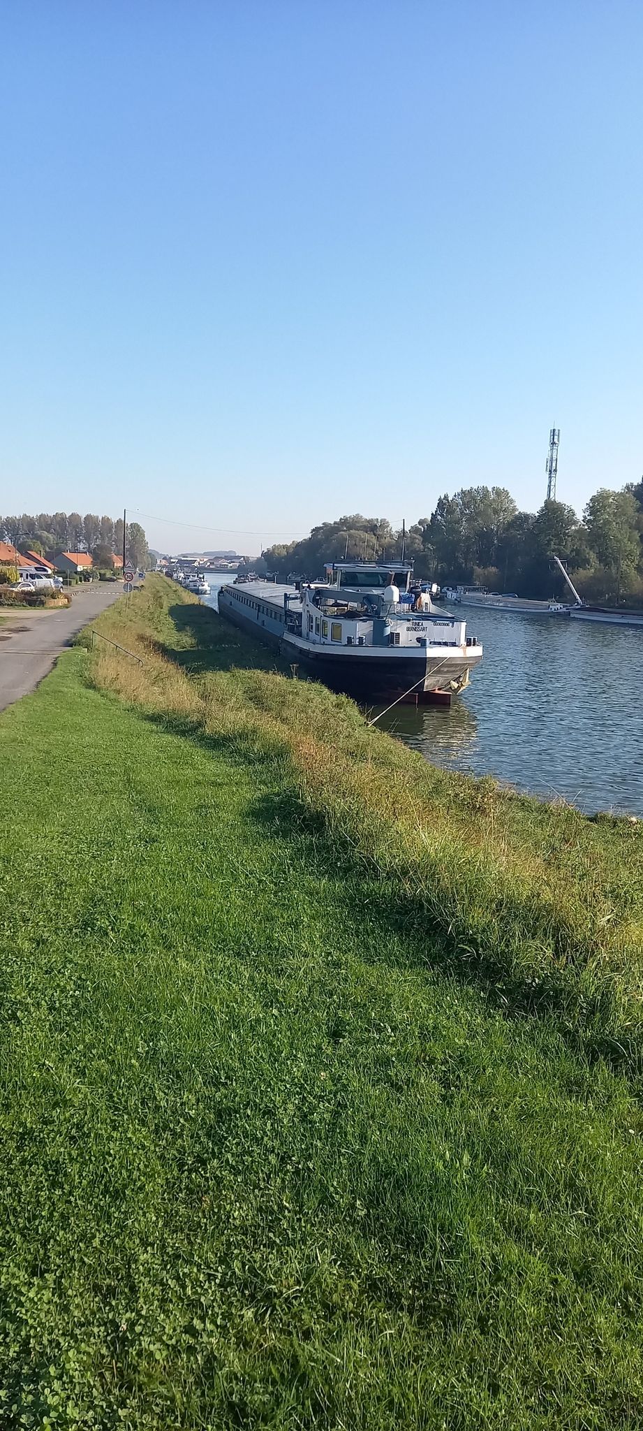 Arleux