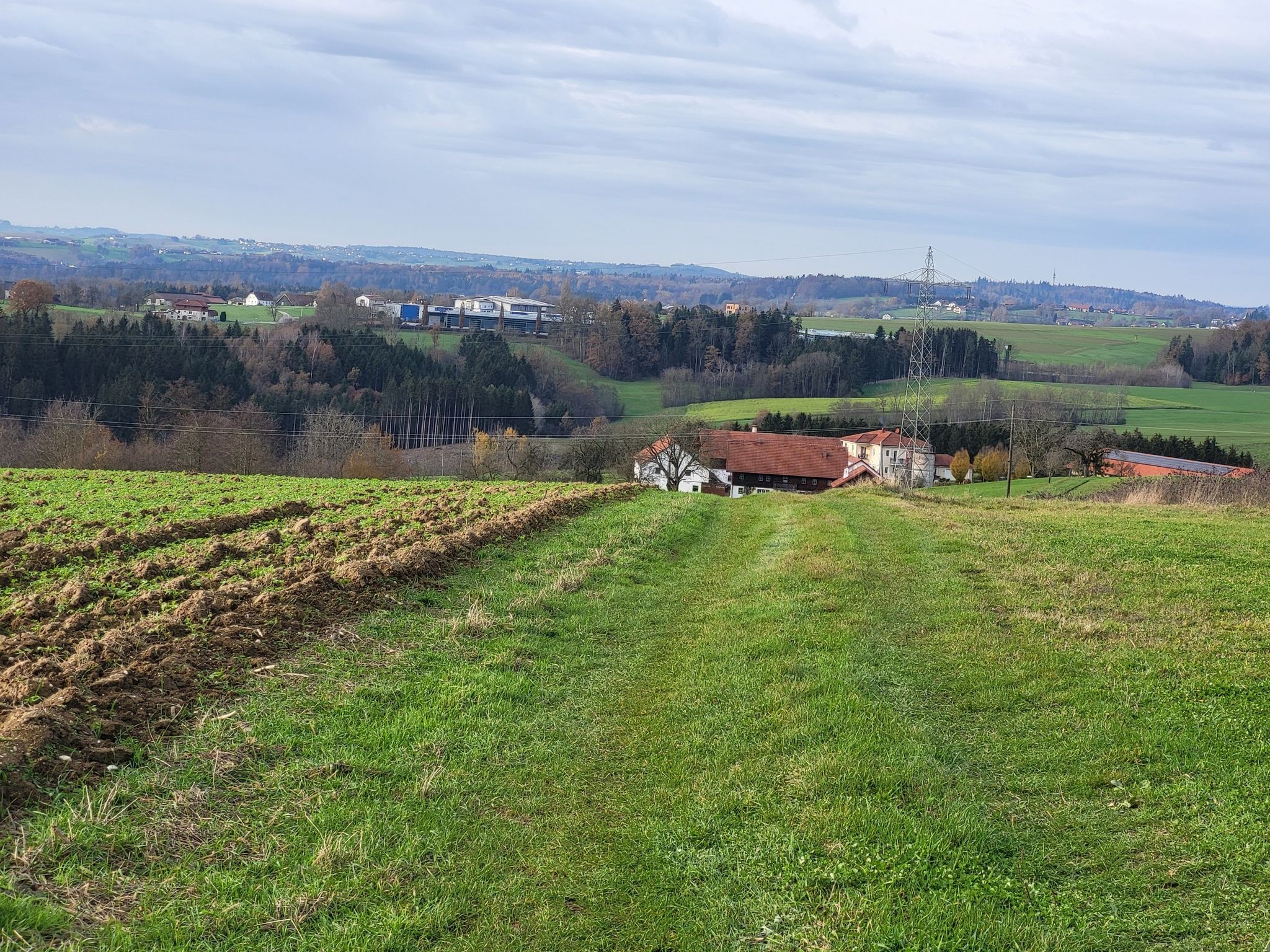 Hinzingergut