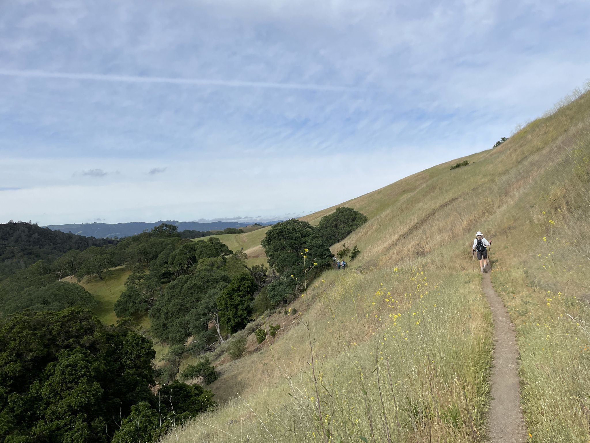 Hiker on a trail overlooking rolling hills under a cloudy sky. - Stage, Sunset, Burma and Buckeye Loop