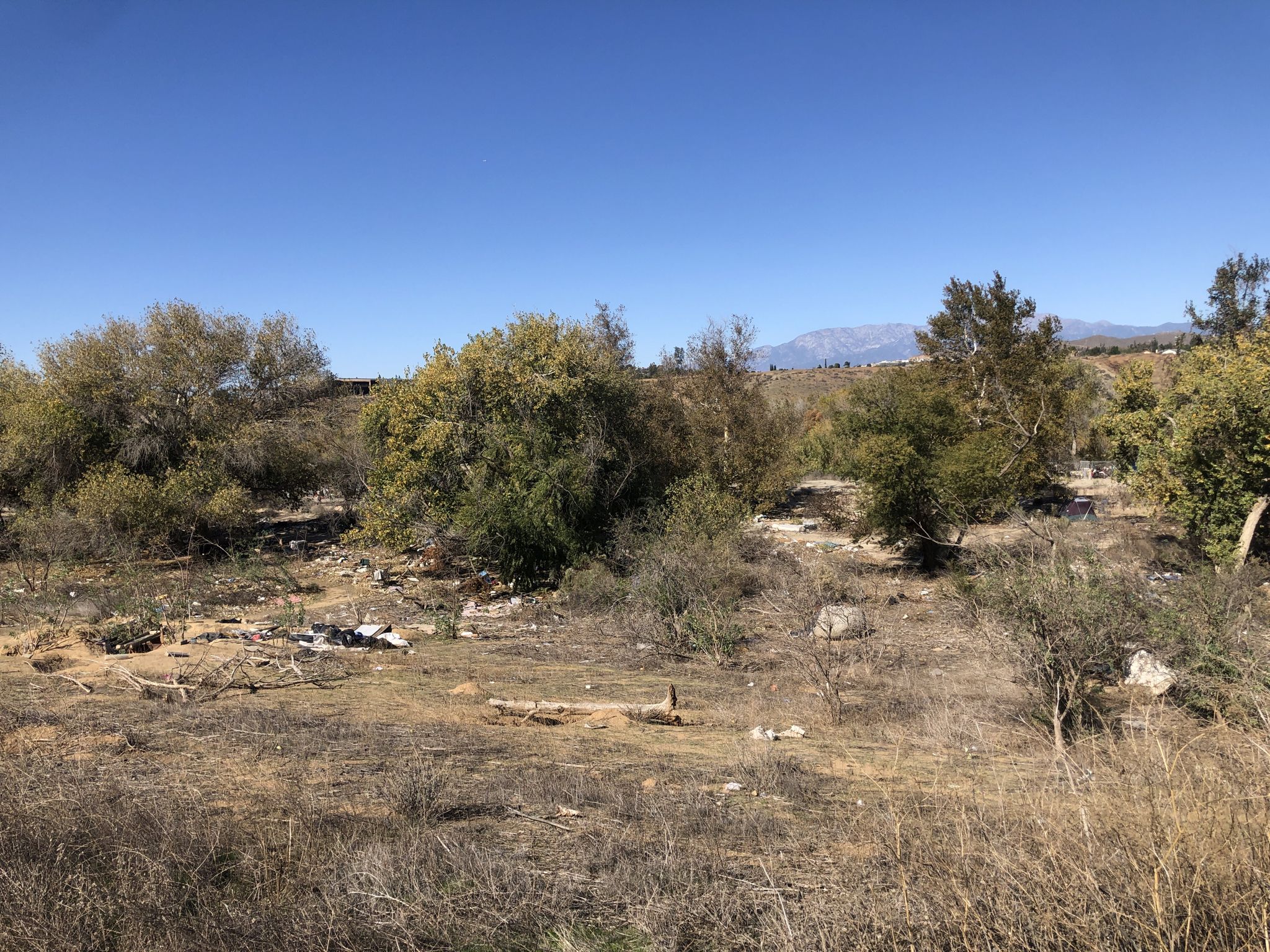 Dry, brushy landscape with scattered trees, distant mountains, under a clear blue sky. - Santa Ana River Trail