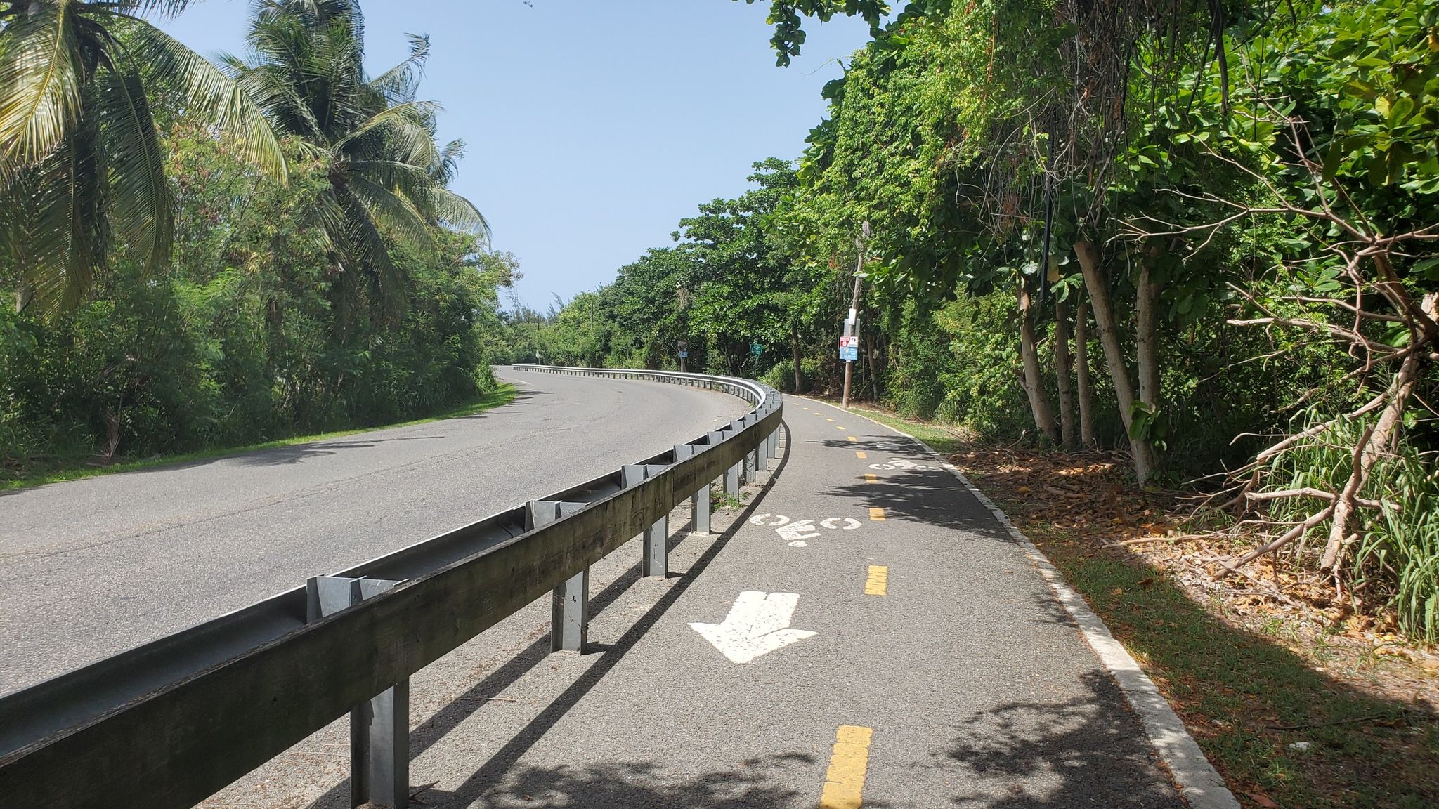 trail