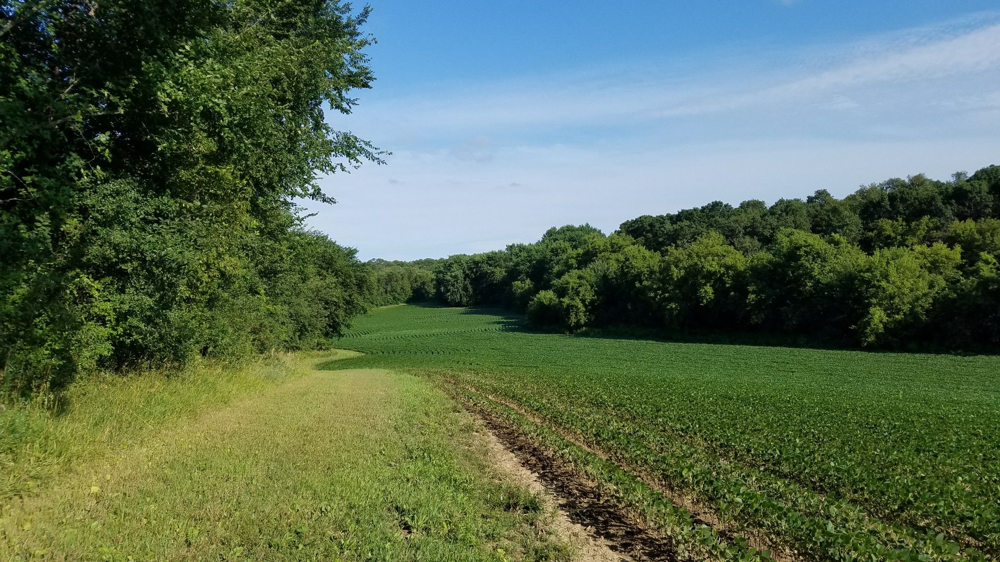 Green field bordered by lush trees under a bright blue sky. - Lone Rock Loop to Empire Lake