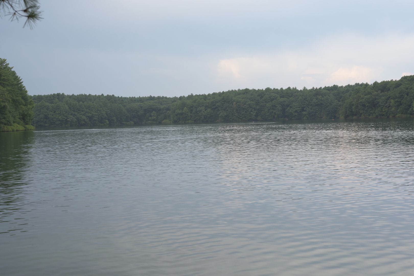 A wide lake with a distant tree-lined shore under an overcast sky. - Walden Pond Lake from Coolidge Corner via Coburn Meadow