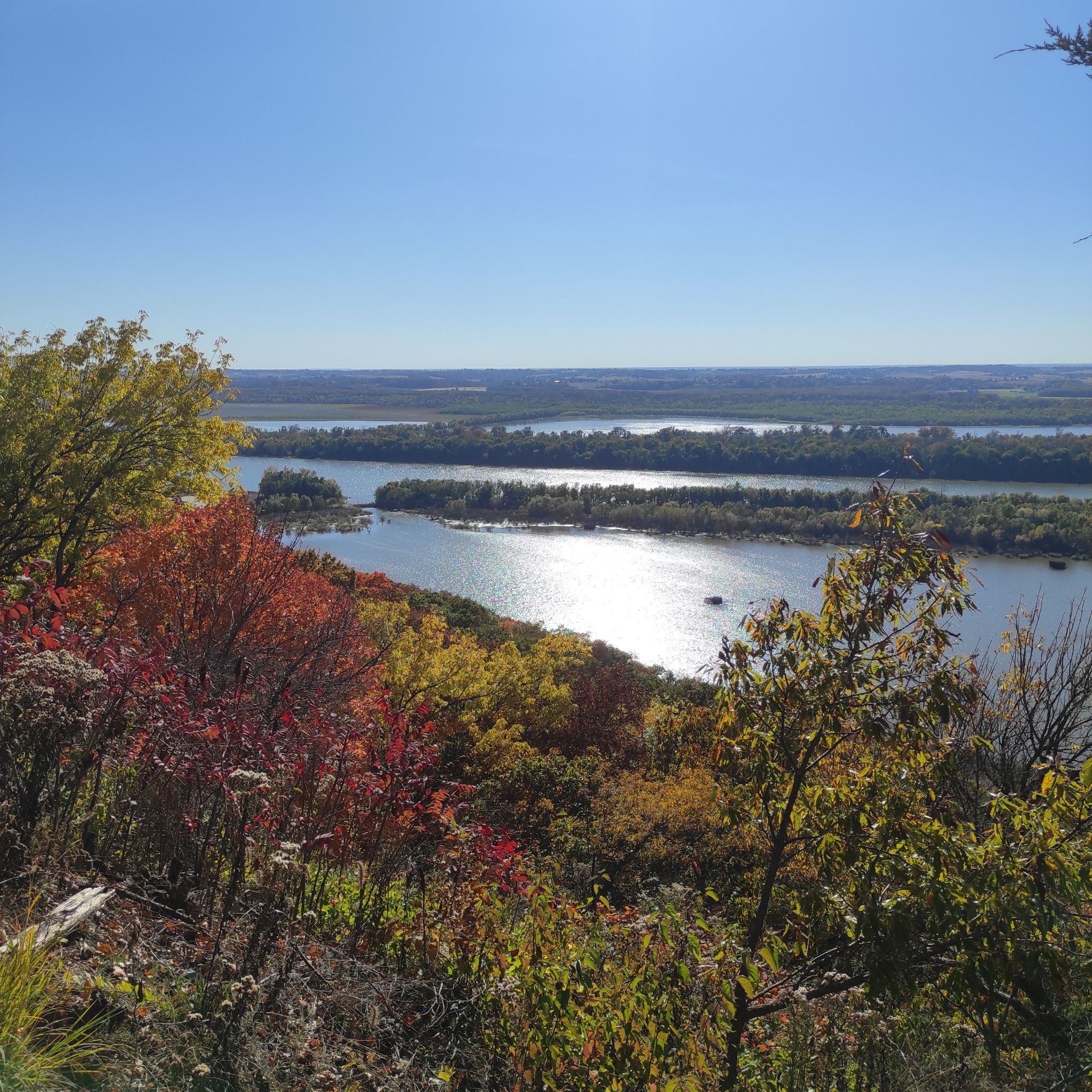 Wide river with islands, surrounded by vibrant autumn trees under bright sun. - Goat Cliff Trail