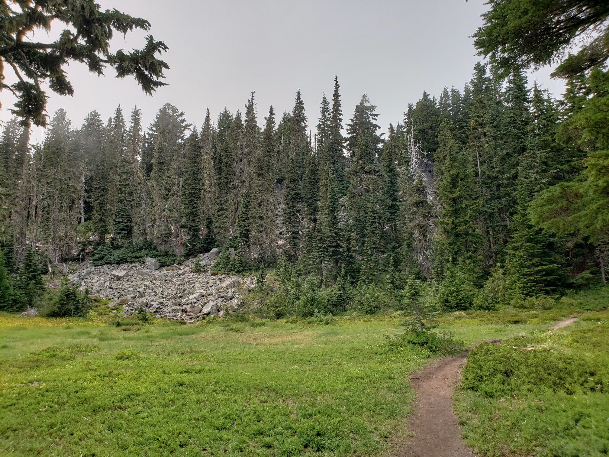 A dirt path through a grassy clearing, leading to a rocky slope and dense forest. - Summit Lake Trail