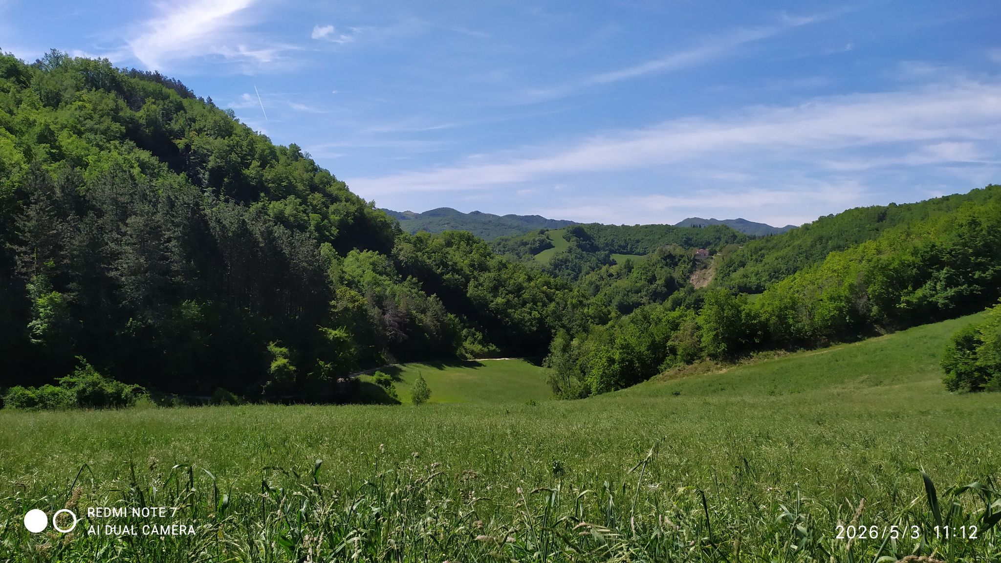vallata dei ciliegi selvaggi