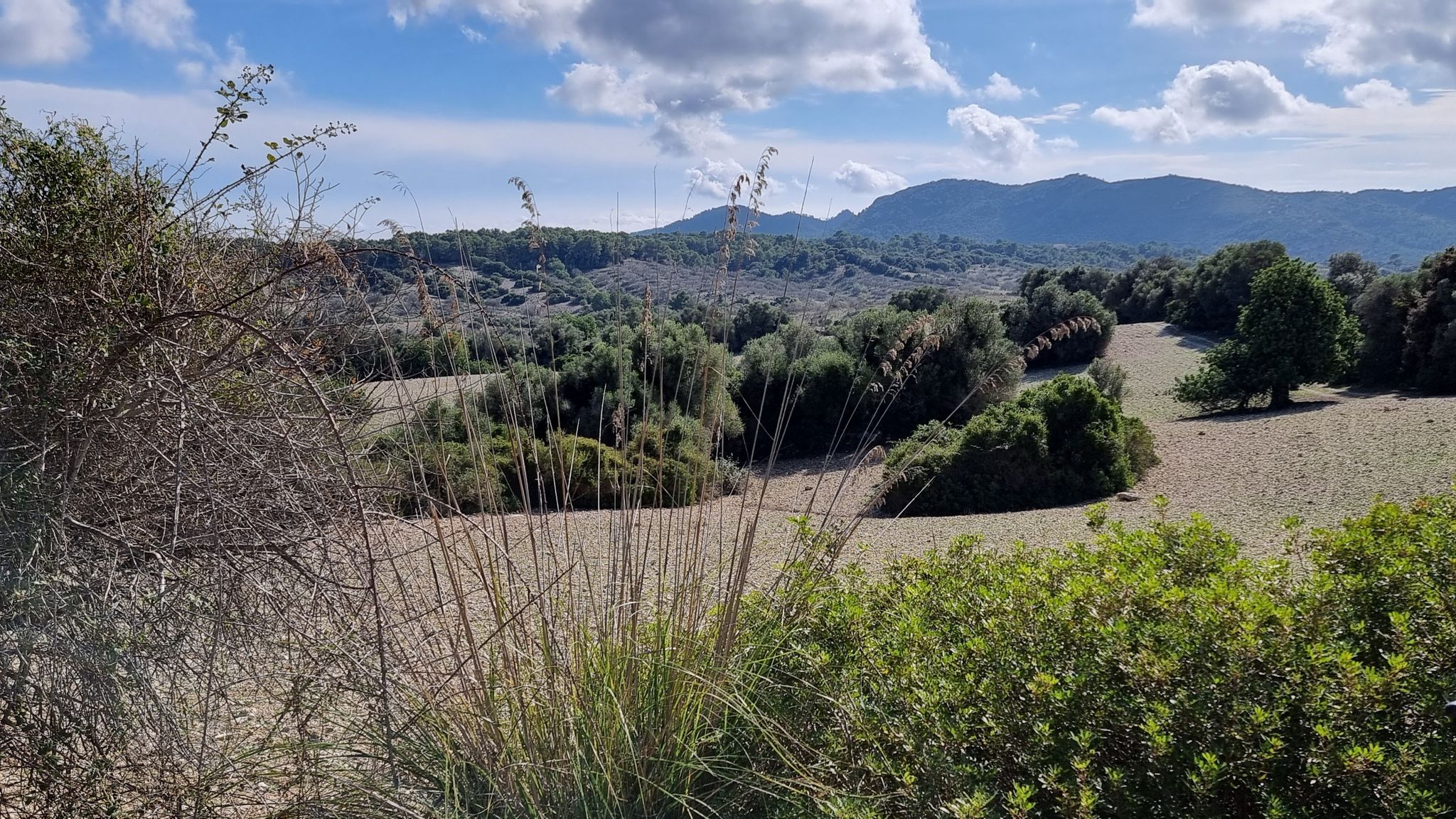Arta-San Llorenc