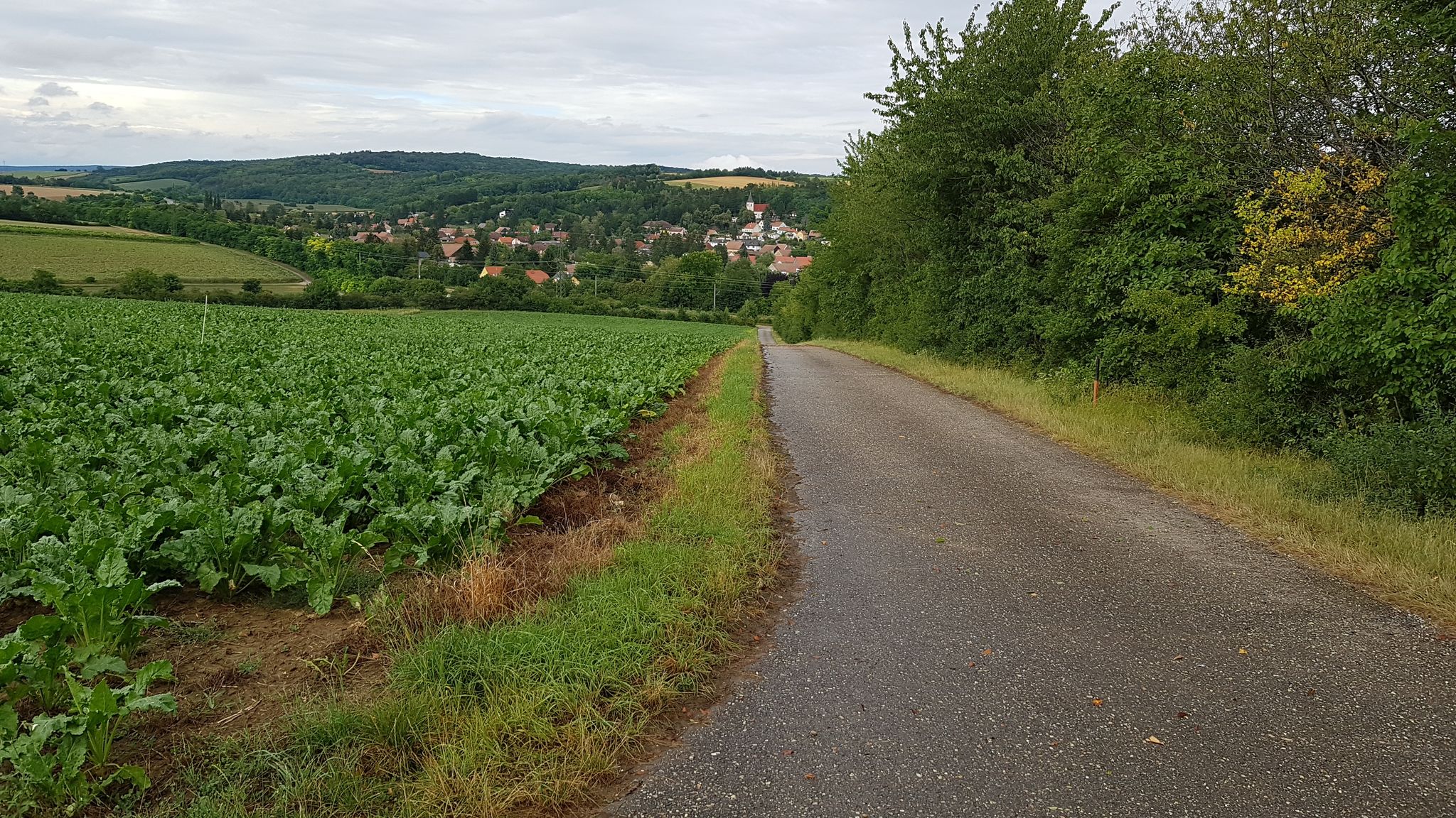 Blick zurück nach Hörersdorf