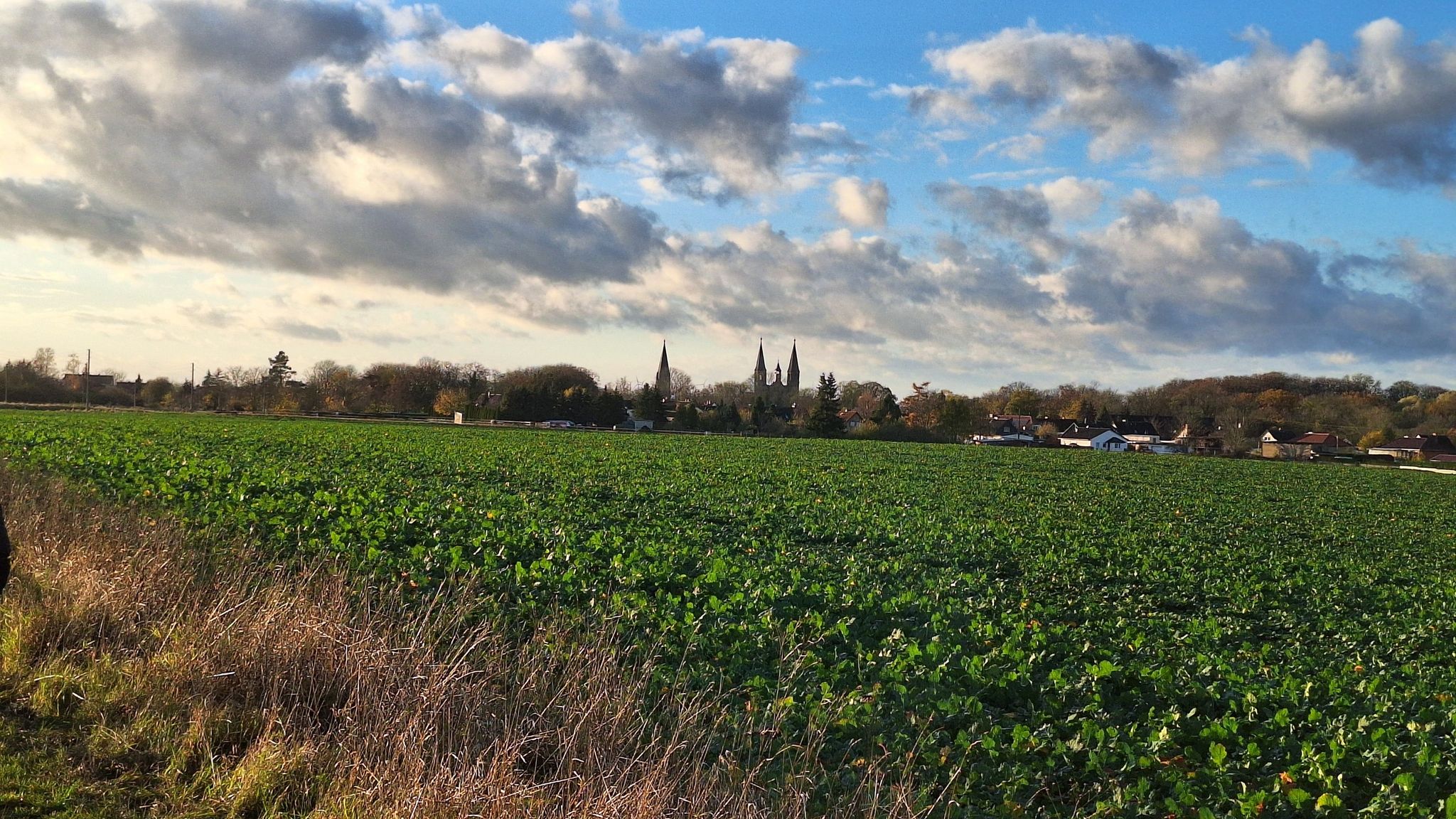 mit Blick auf die Türme von Hamersleben