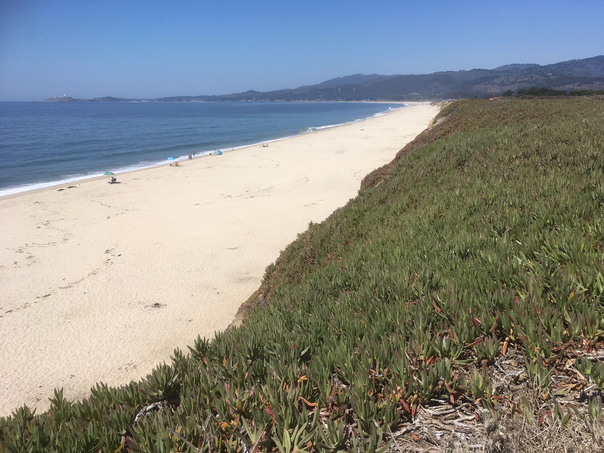 Sunny beach with green coastal vegetation, ocean, and distant mountains. - Half Moon Bay Coastal Trail