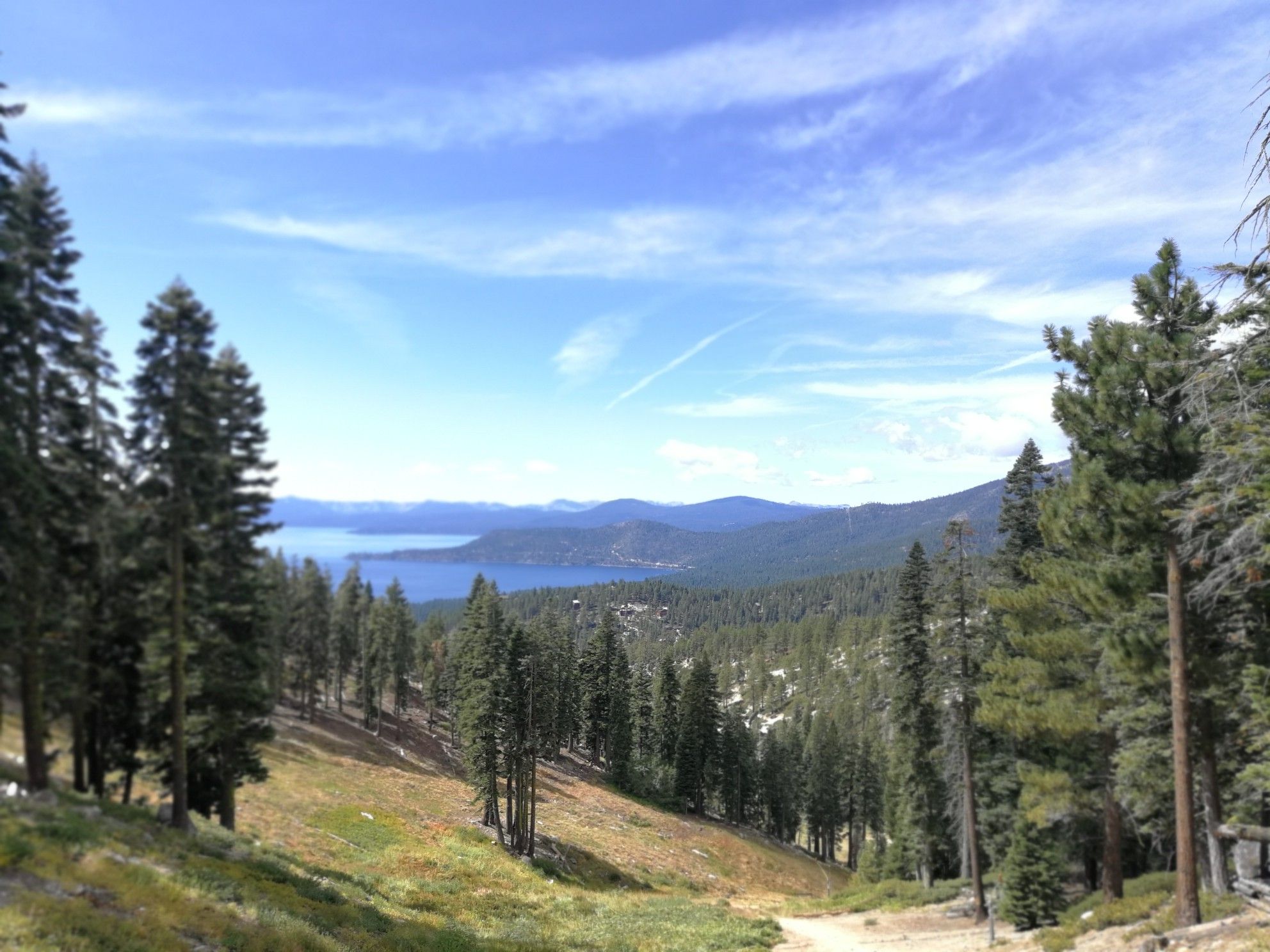 Panoramic view of a large lake and distant mountains through a pine forest. - Tyrolean Downhill and Incline Flume Loop
