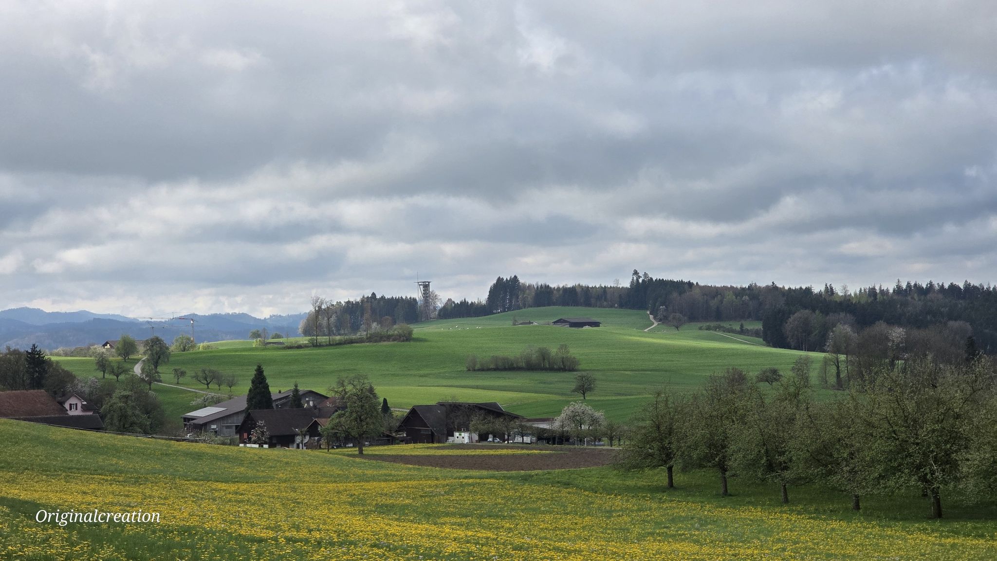 Blick auf den Wiler Turm