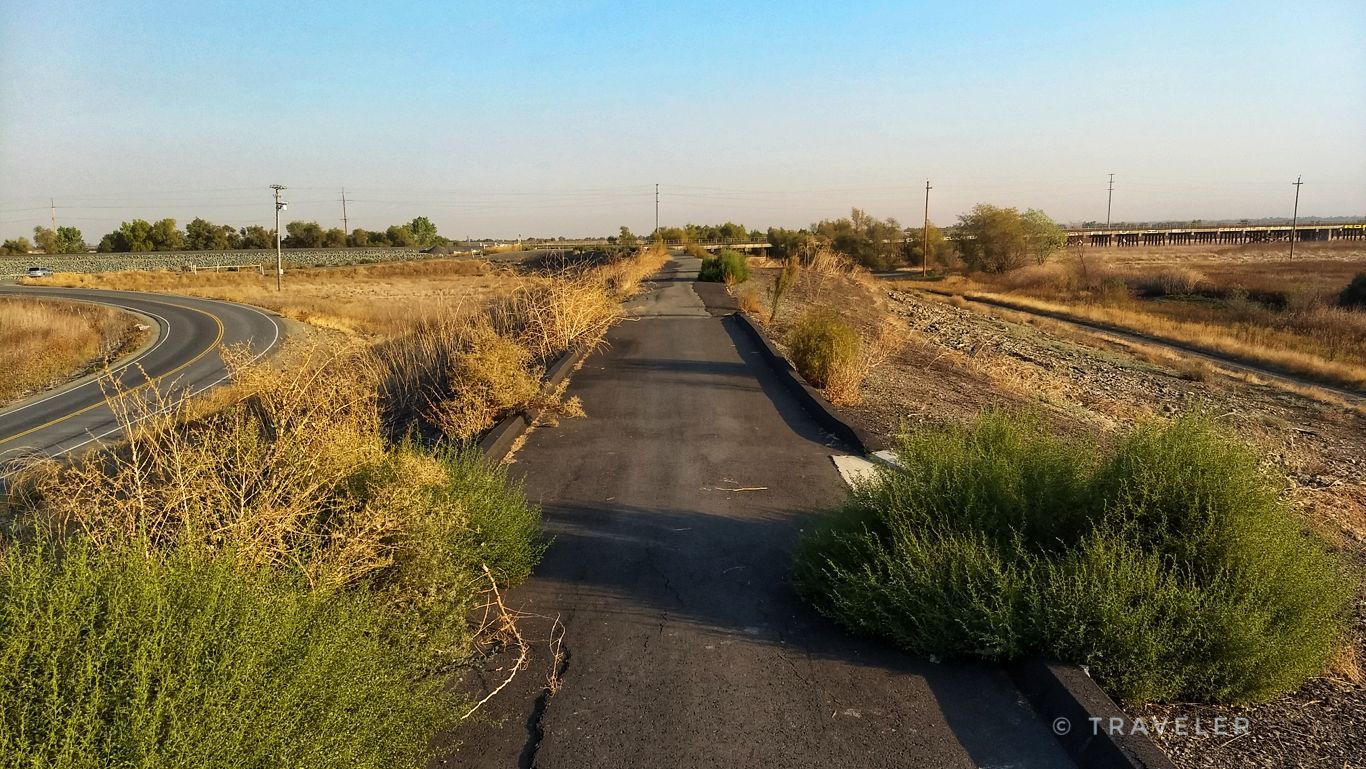 An old, cracked asphalt road overgrown with bushes in a dry, sunny landscape. - Davis Loop