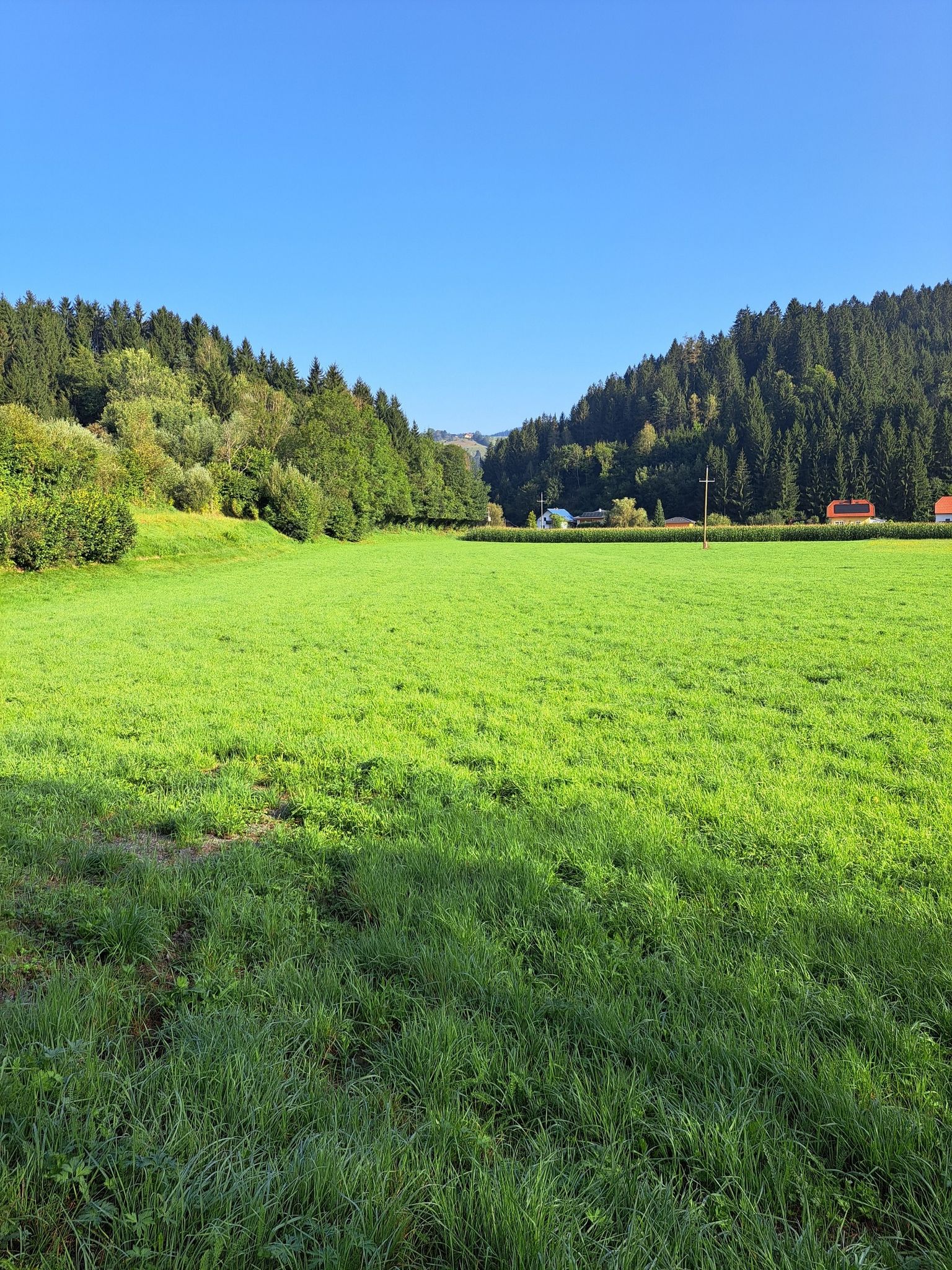 Mellach