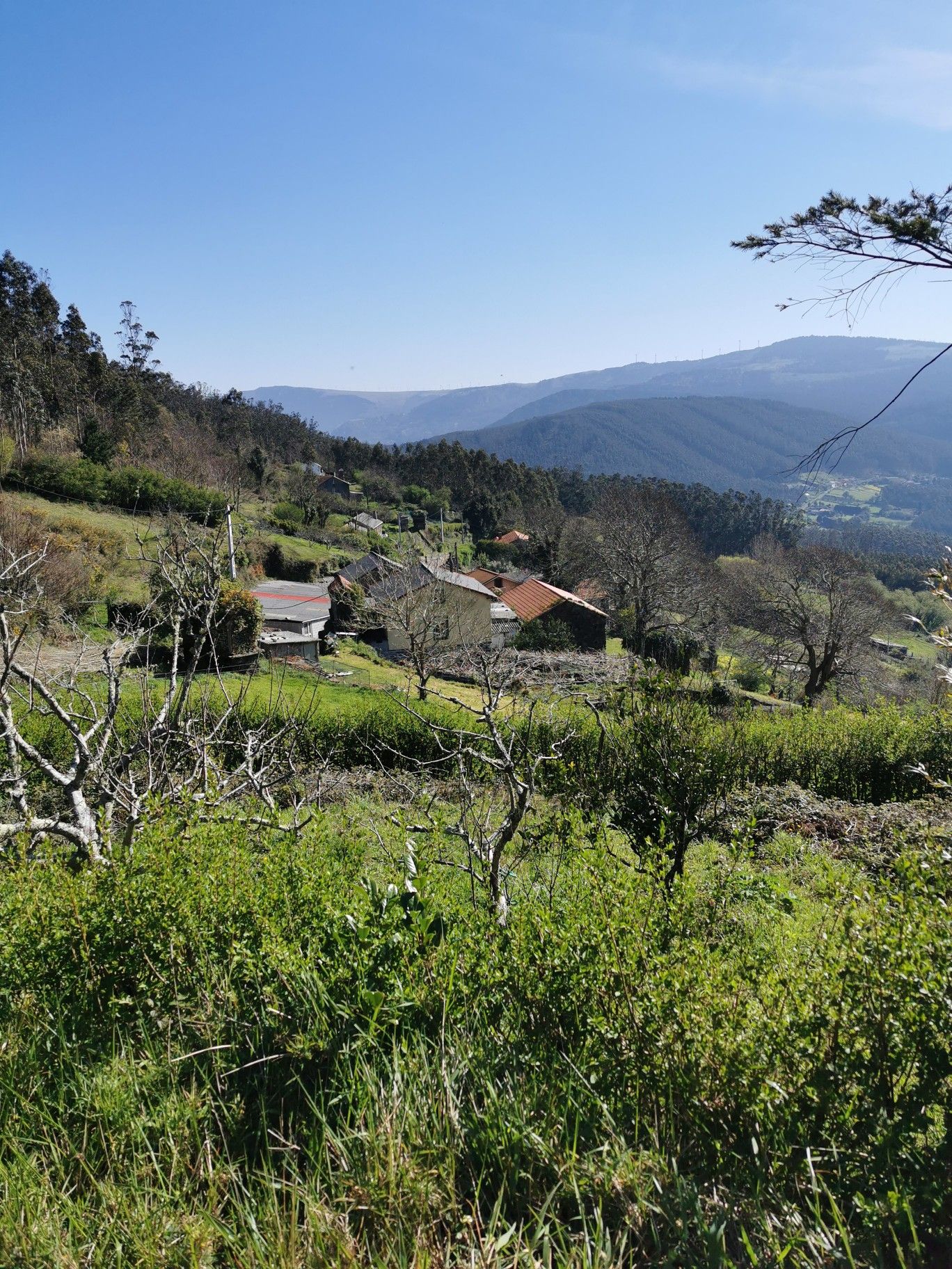 Vilar