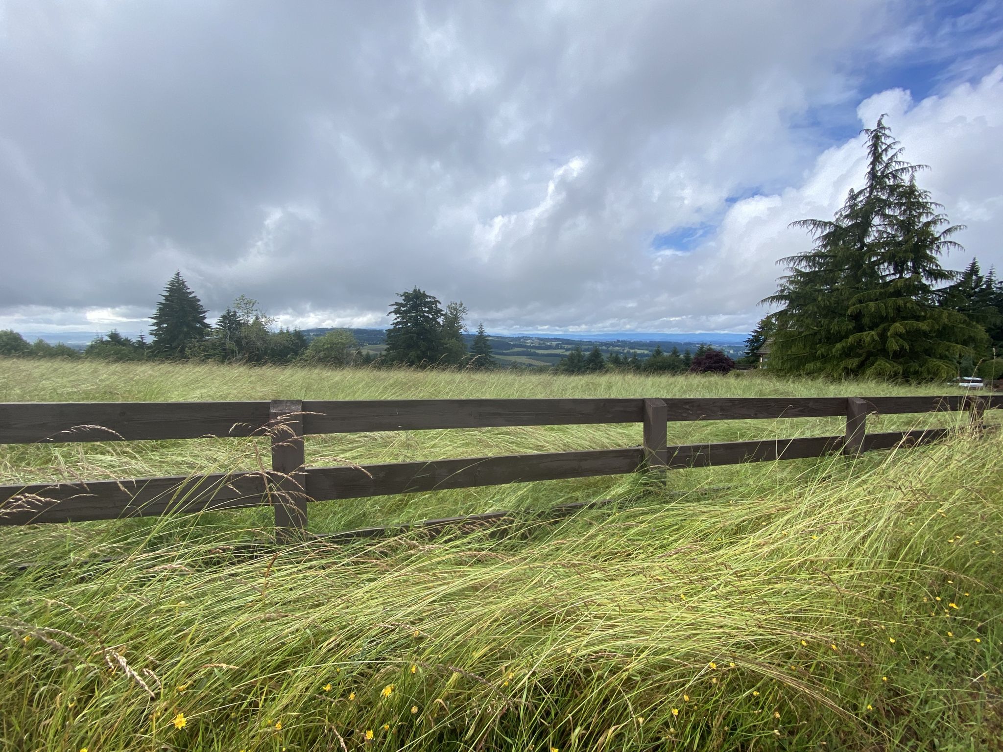 A wooden fence in a grassy field under a cloudy sky, with distant trees. - Graham Oaks Nature Park loop from Newberg