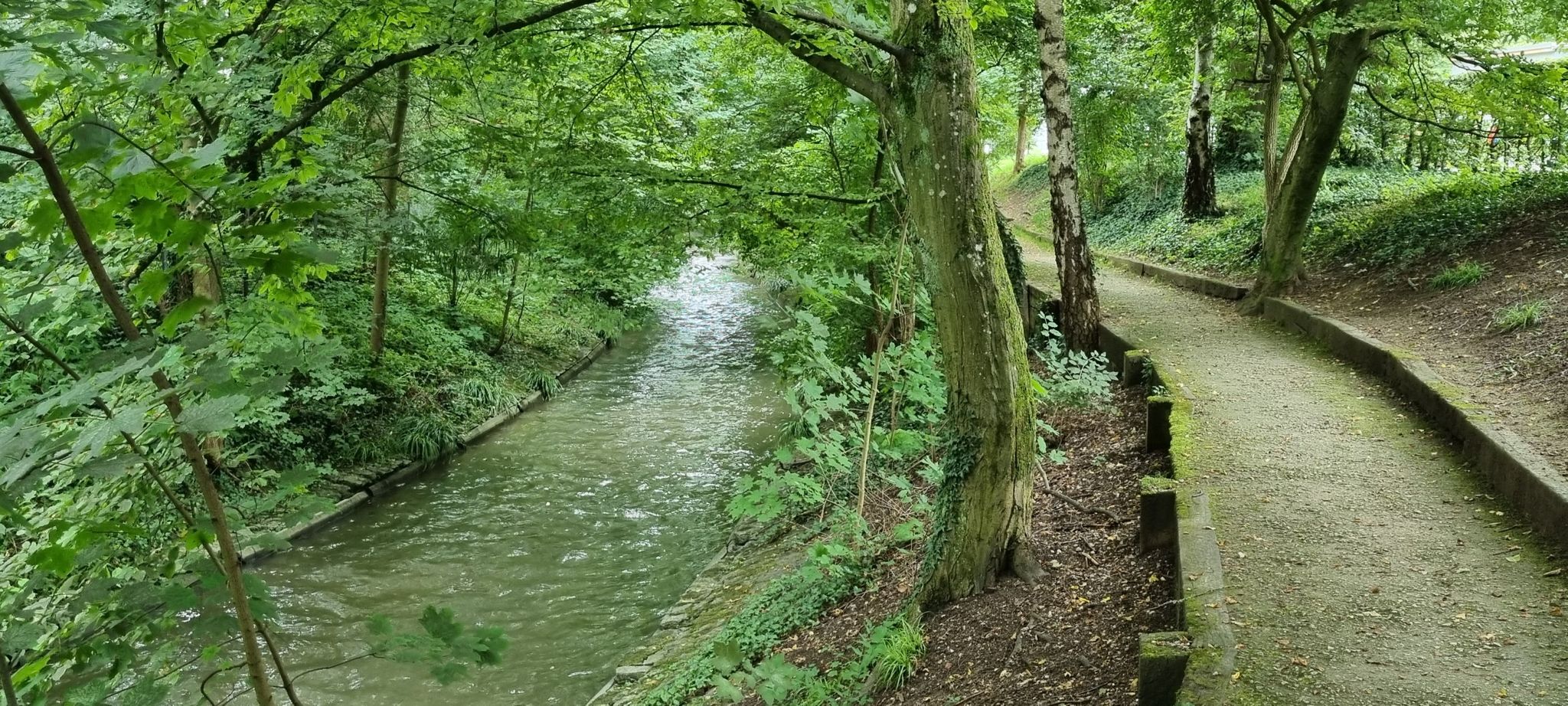 Weg an der  Birsig