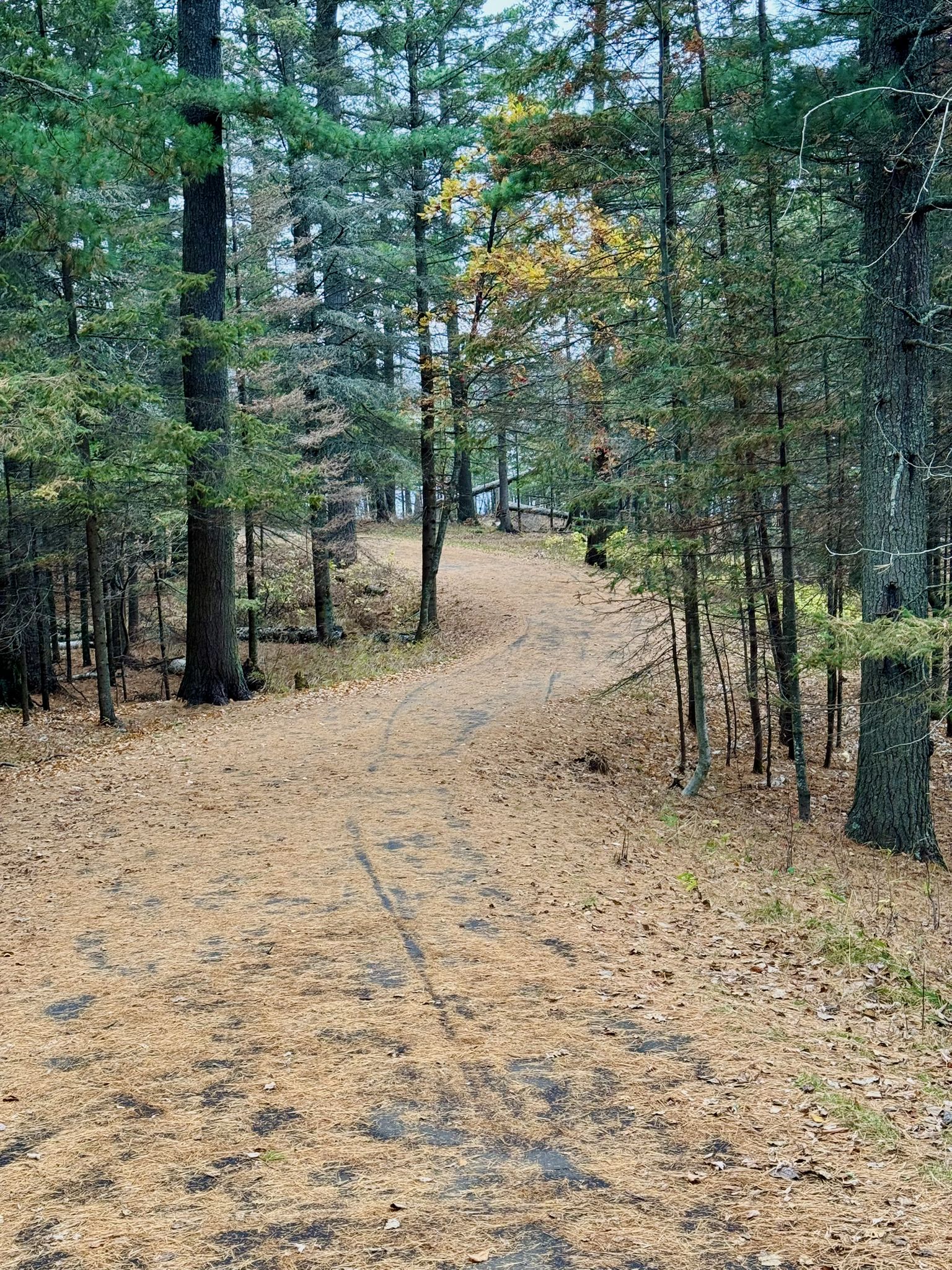 Trail through Lakeview Park