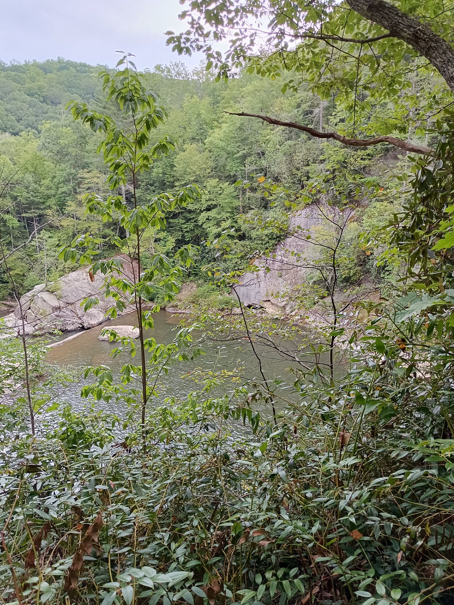 Overcast view of a river winding through a dense, green forested valley. - Jones Falls and Splash Dam Falls from Elk River Falls