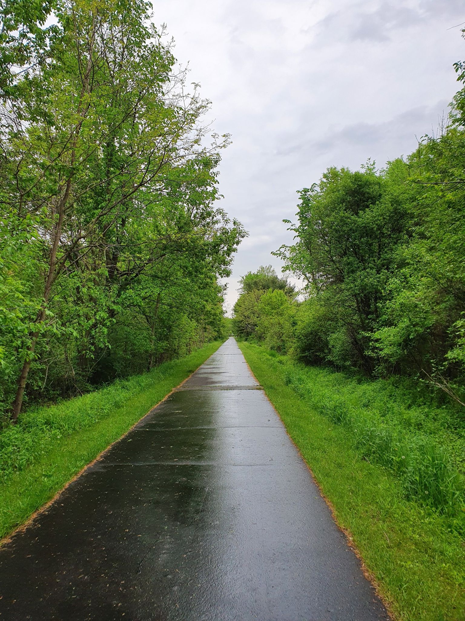 A wet paved path surrounded by green trees under an overcast sky. - MetroParks Bikeway