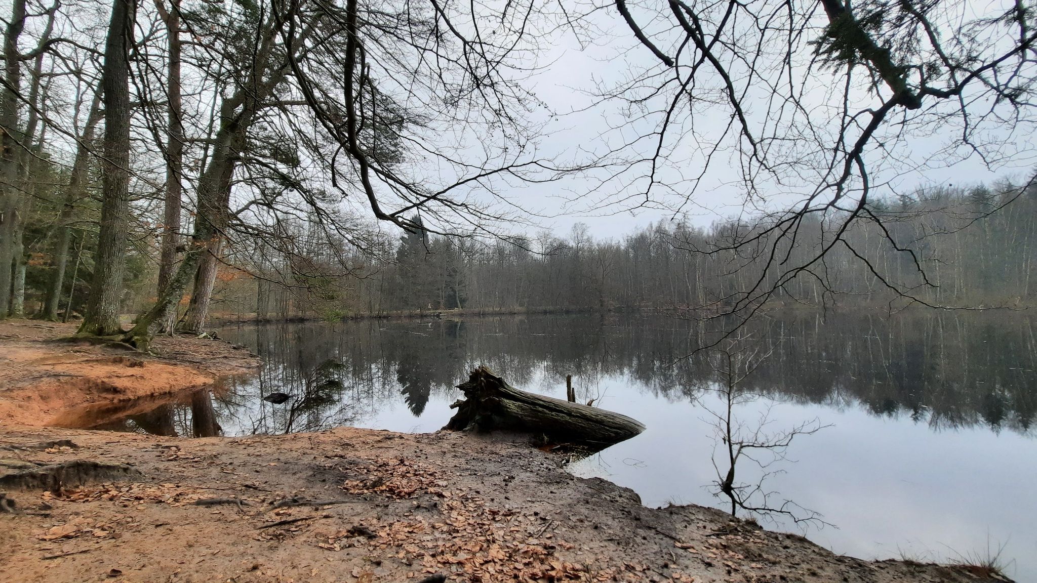 Spickelweiher