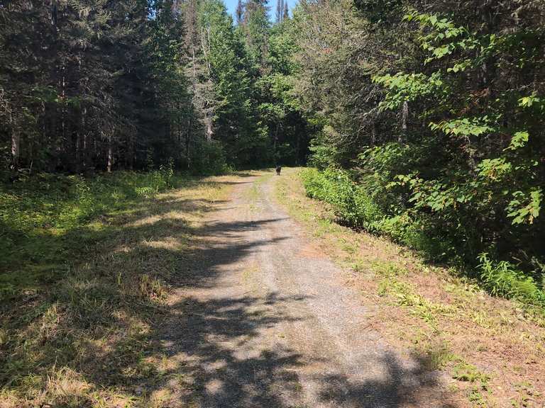 Randonnée lebel sur Quévillon randonnée pédestre Komoot