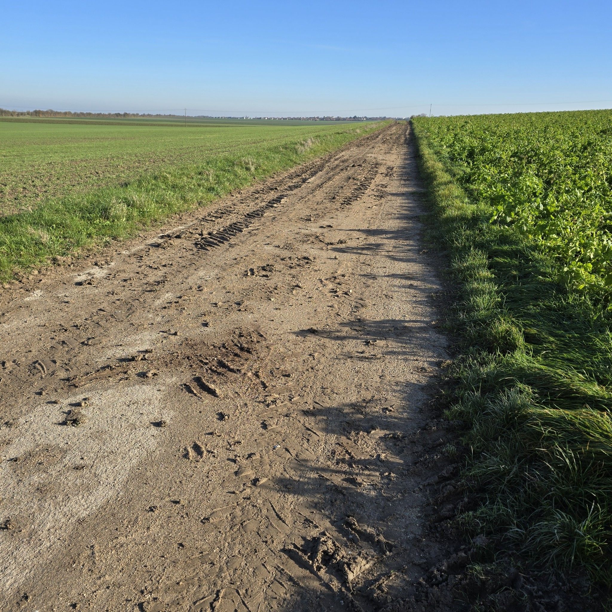 de laatste veldweg