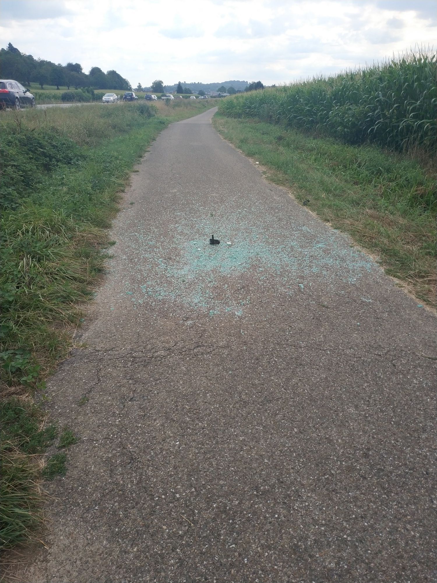 Glasbruch einers Rückfensters eines Traktors , Gemeinde Mahlberg informiert
