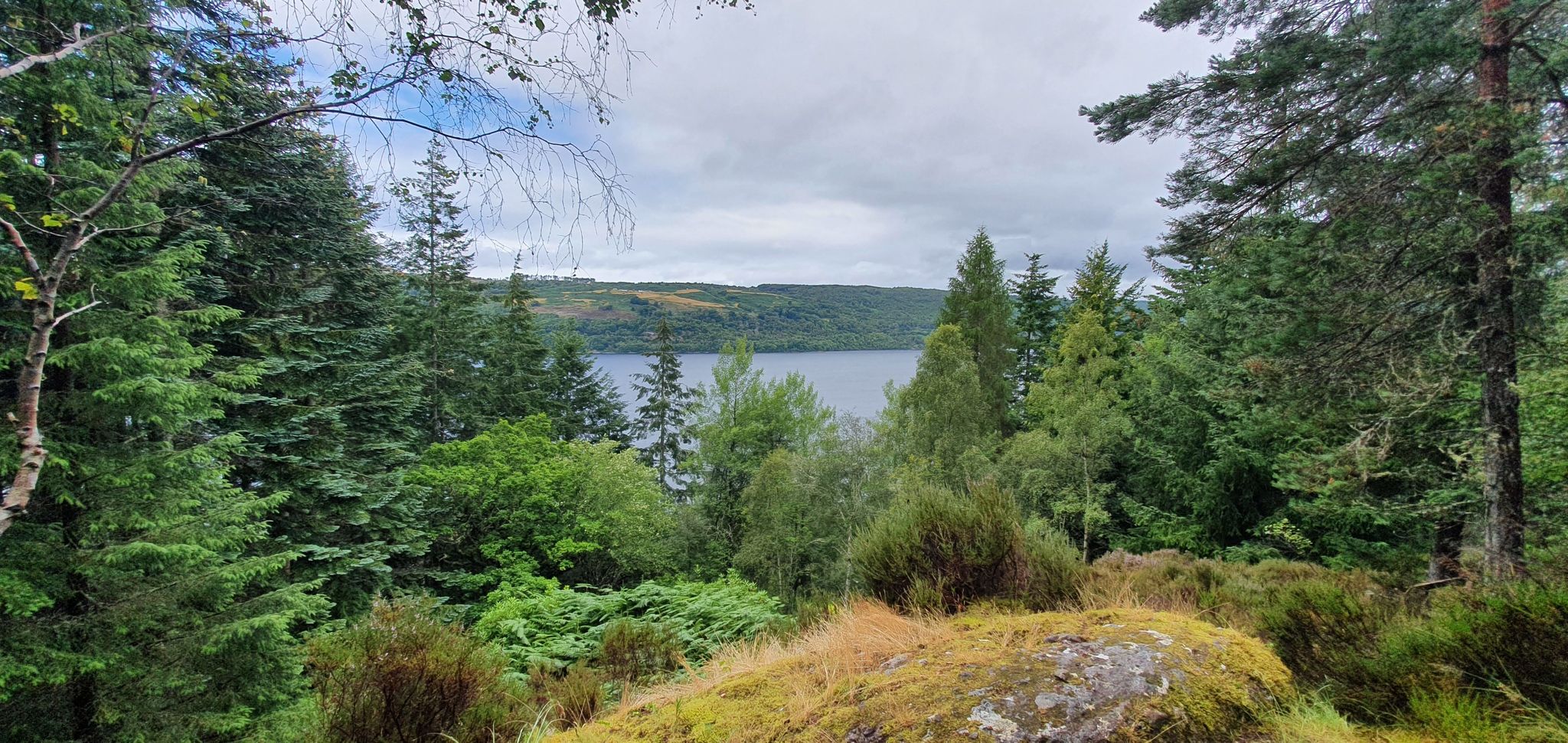 Viewpoint auf Loch Ness