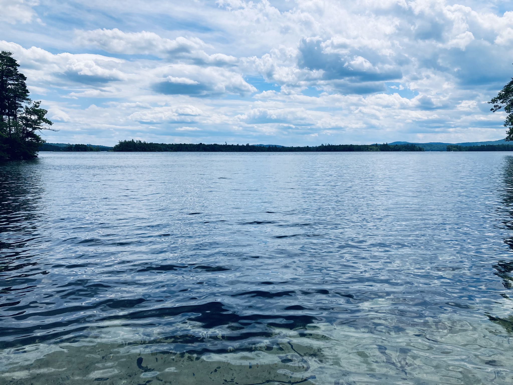 Wide view of a large lake with distant forested shores and cloudy sky. - Five Finger Point Trail