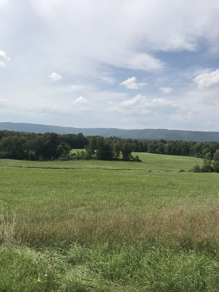 Quiet country road with an awesome view. 
